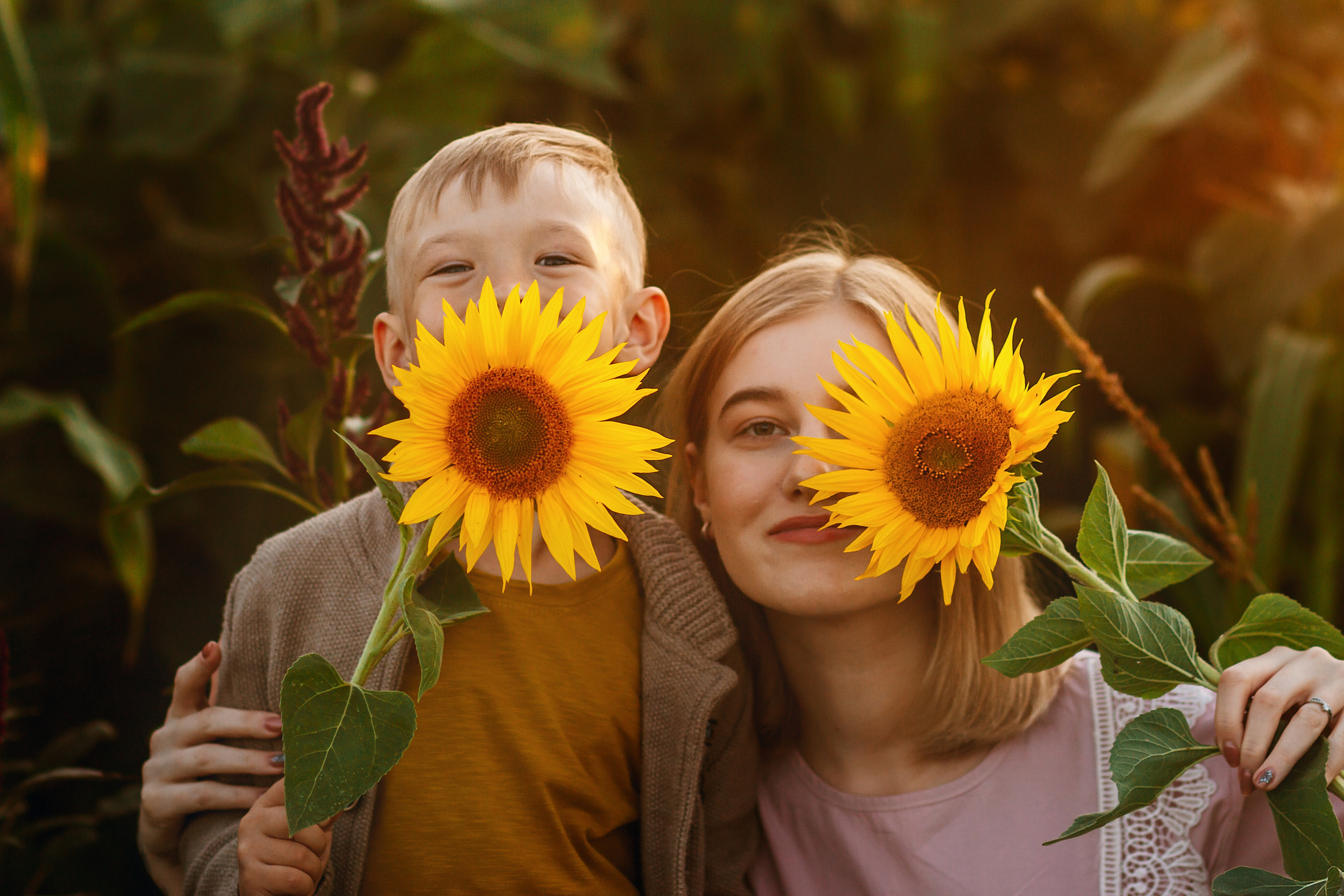 Подсолнухи. Фотограф Григорьева Ольга. Портретная, семейная съёмка, Love Stori, видеосъёмка в городе Чита. Выпускные альбомы, фотокниги