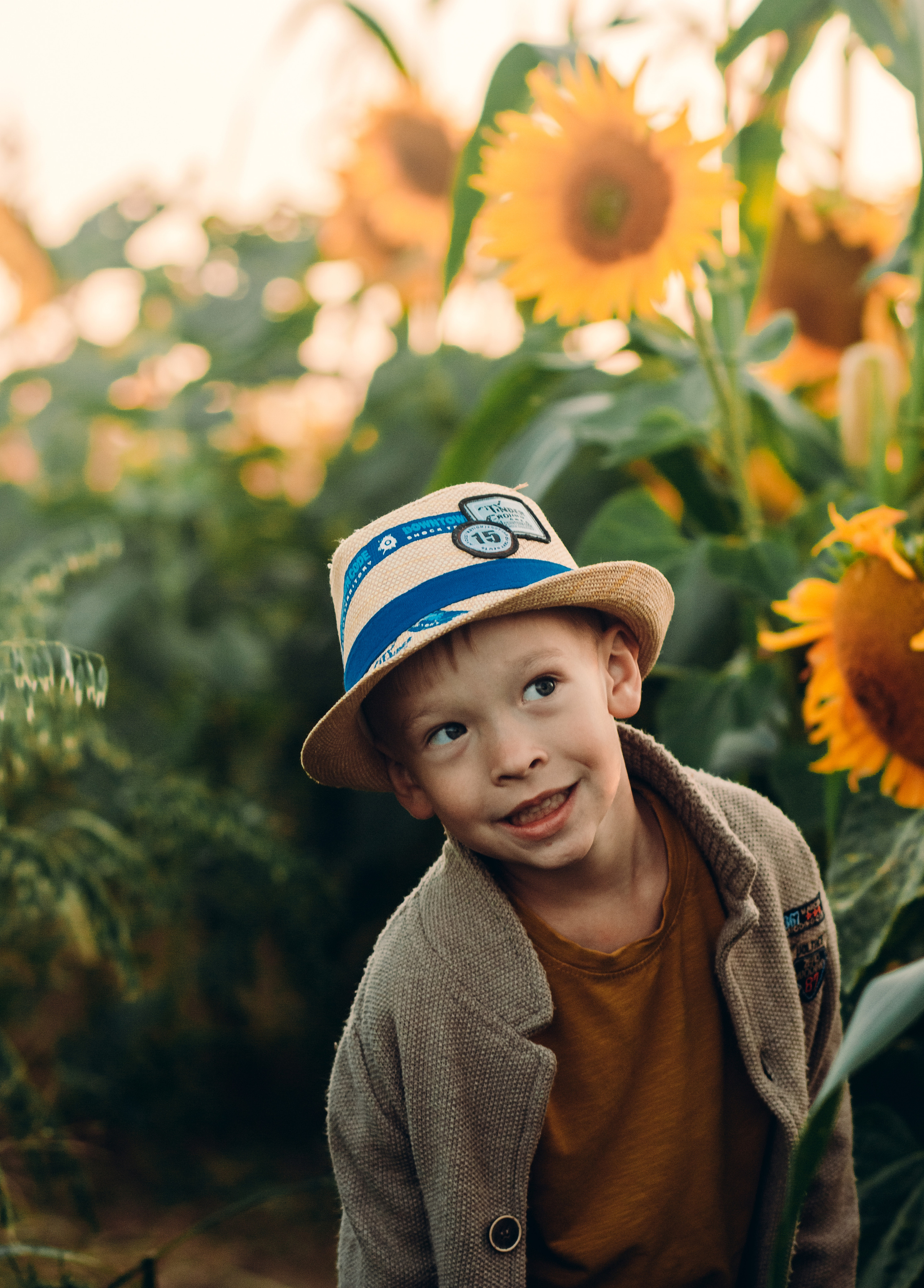 Подсолнухи. Фотограф Григорьева Ольга. Портретная, семейная съёмка, Love Stori, видеосъёмка в городе Чита. Выпускные альбомы, фотокниги