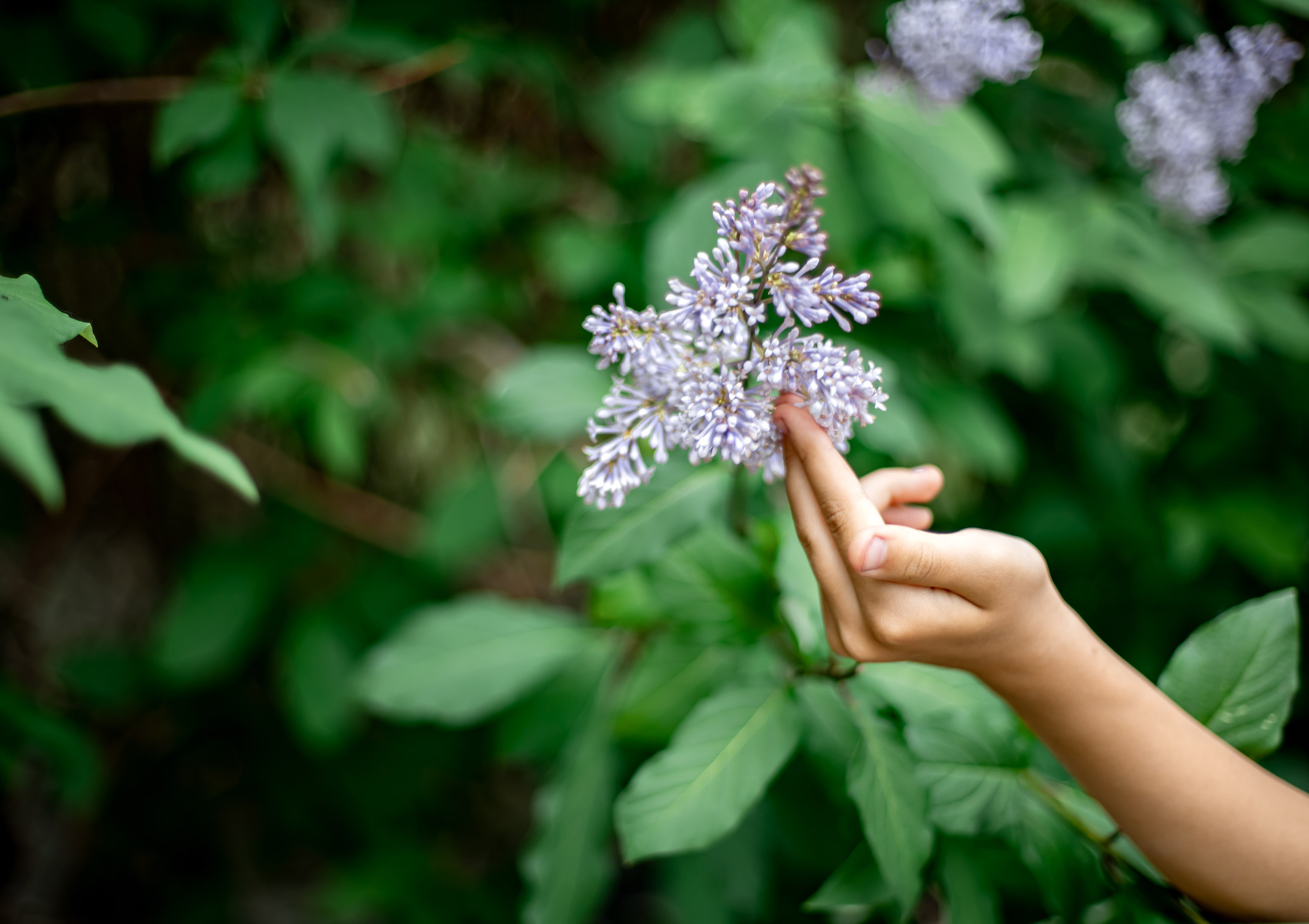 Елизавета & Варвара. Сестрёнки. Фотограф Григорьева Ольга. Портретная, семейная съёмка, Love Stori, видеосъёмка в городе Чита. Выпускные альбомы, фотокниги