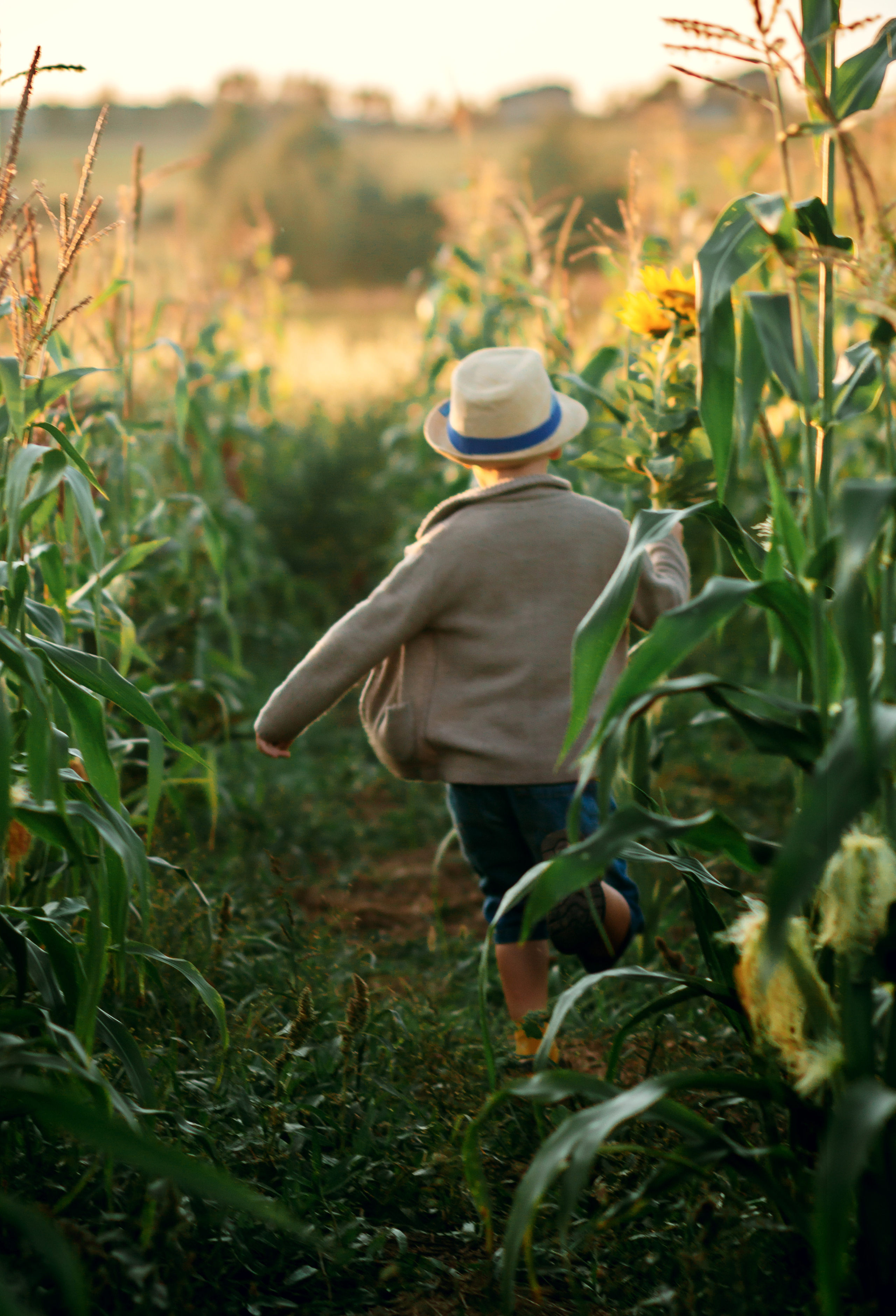 Подсолнухи. Фотограф Григорьева Ольга. Портретная, семейная съёмка, Love Stori, видеосъёмка в городе Чита. Выпускные альбомы, фотокниги