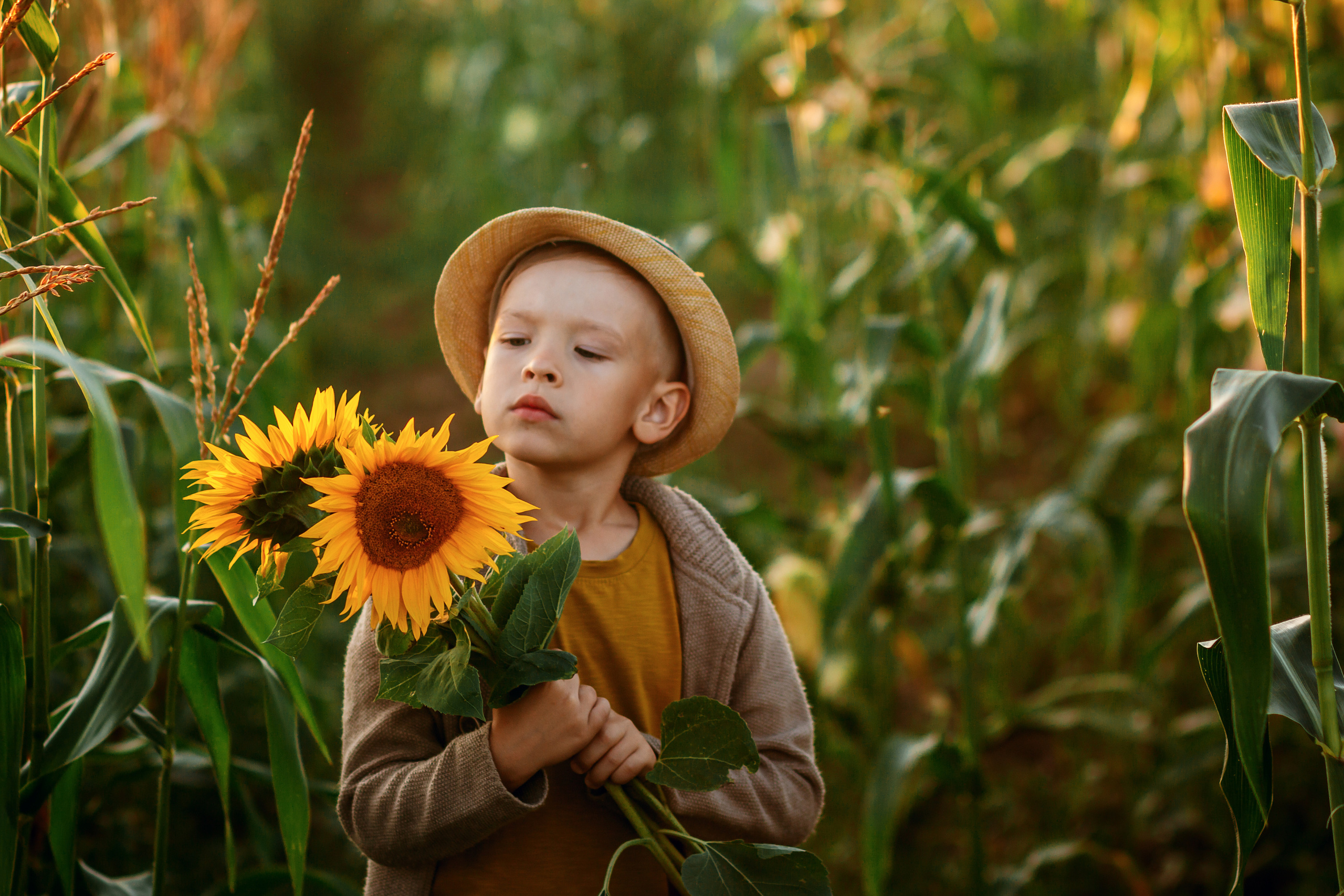 Подсолнухи. Фотограф Григорьева Ольга. Портретная, семейная съёмка, Love Stori, видеосъёмка в городе Чита. Выпускные альбомы, фотокниги