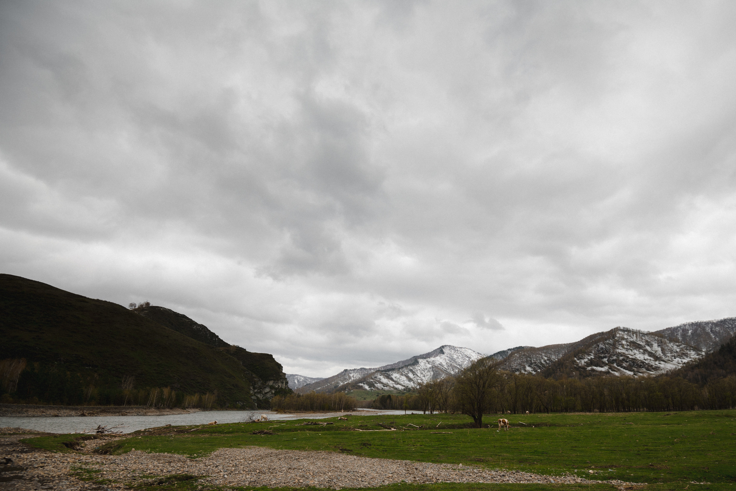 Лав строи в горах. Сергей Богомолов. Свадебный и семейный фотограф