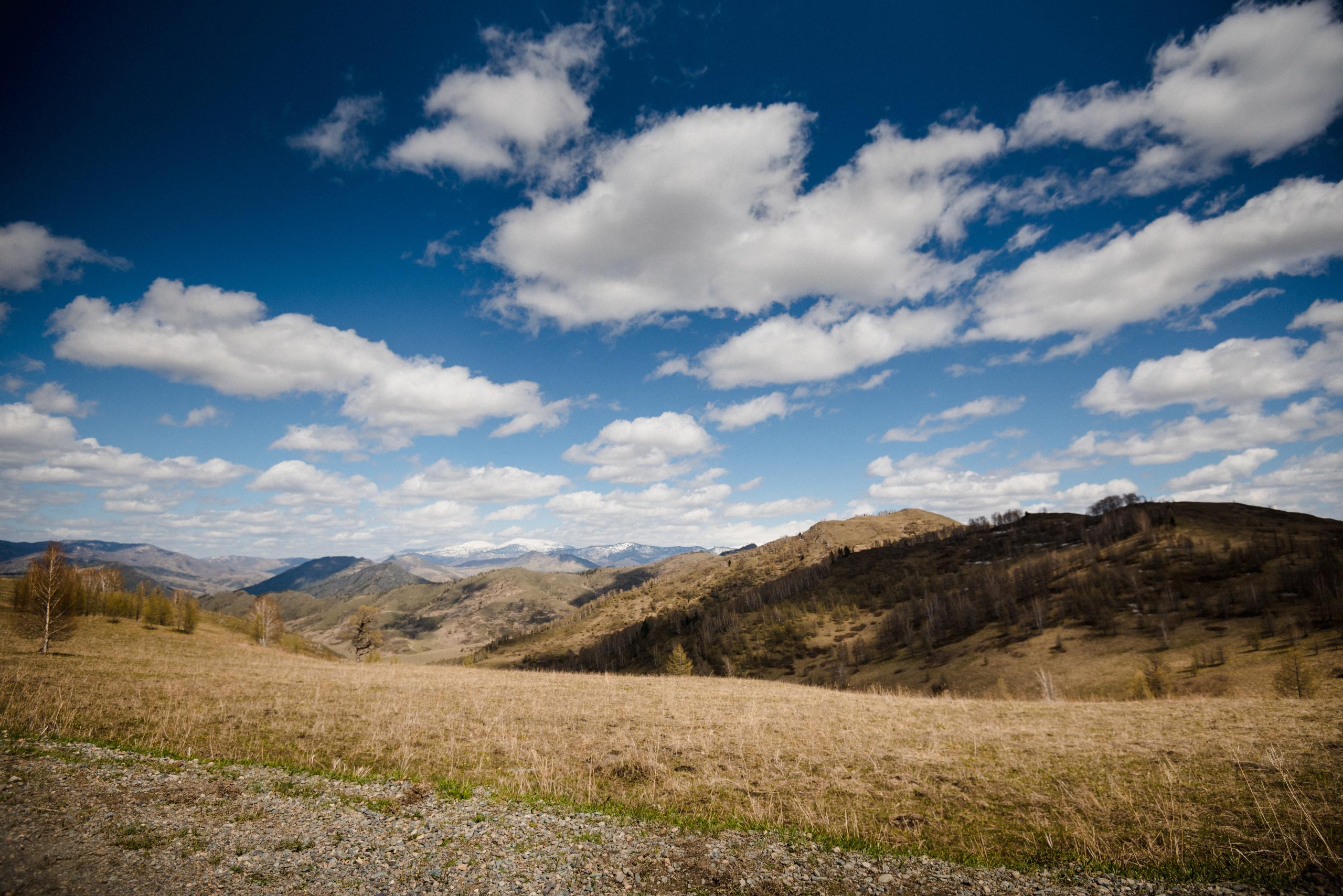 Лав строи в горах. Сергей Богомолов. Свадебный и семейный фотограф