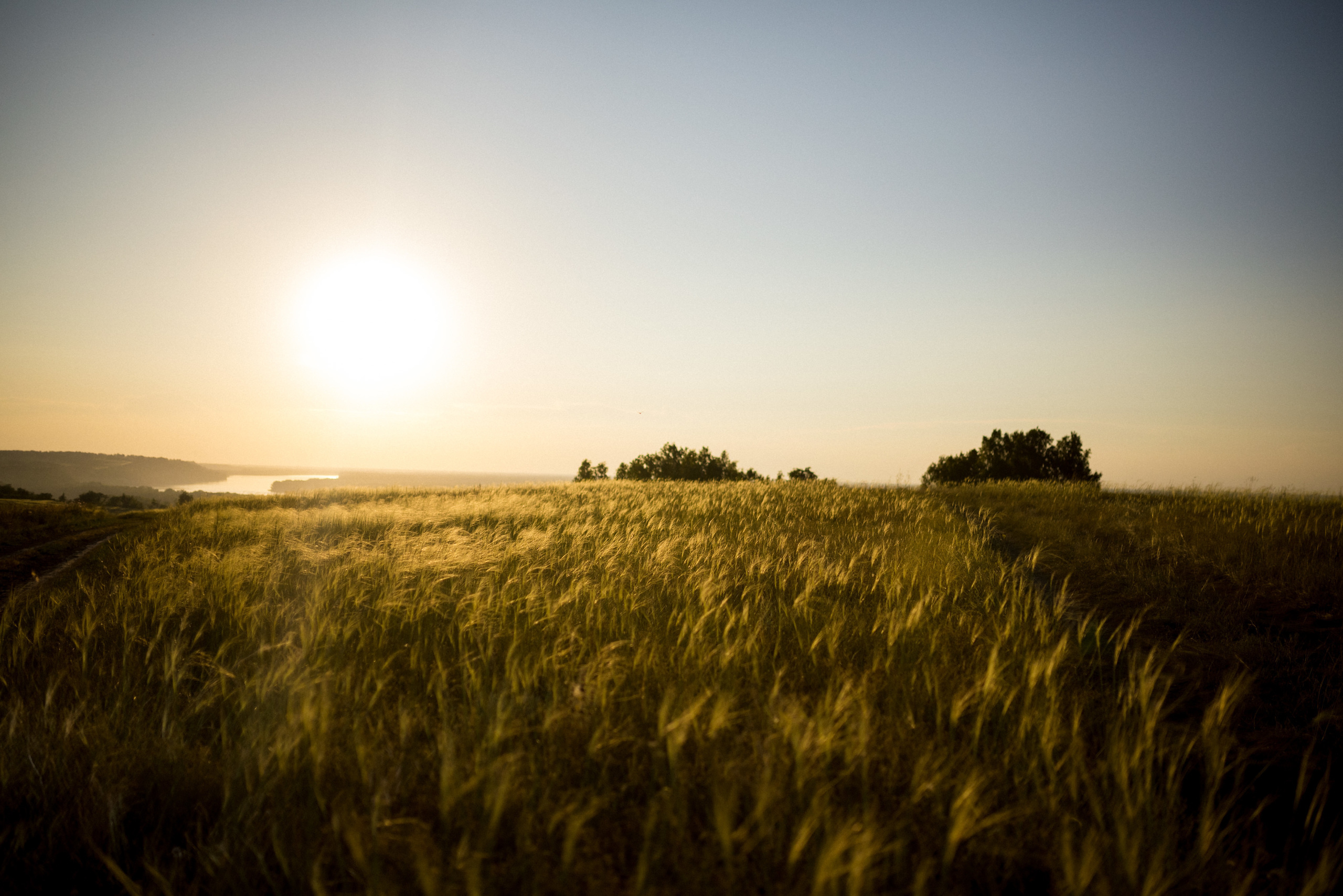 Лавстори в горях. Сергей Богомолов. Свадебный и семейный фотограф
