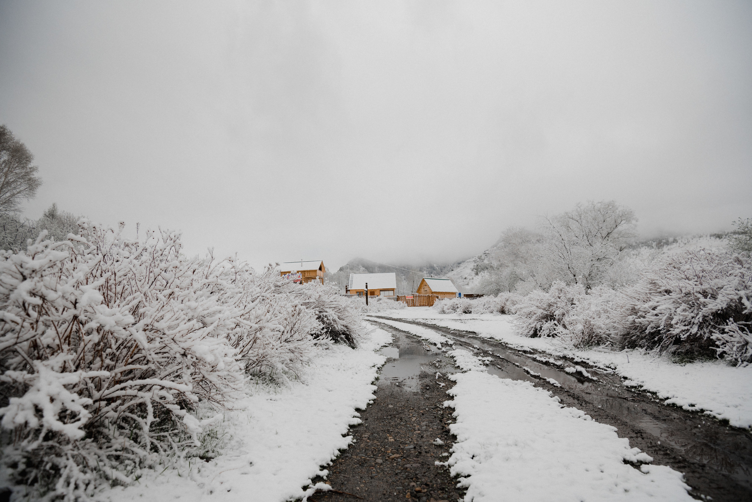 Лав строи в горах. Сергей Богомолов. Свадебный и семейный фотограф