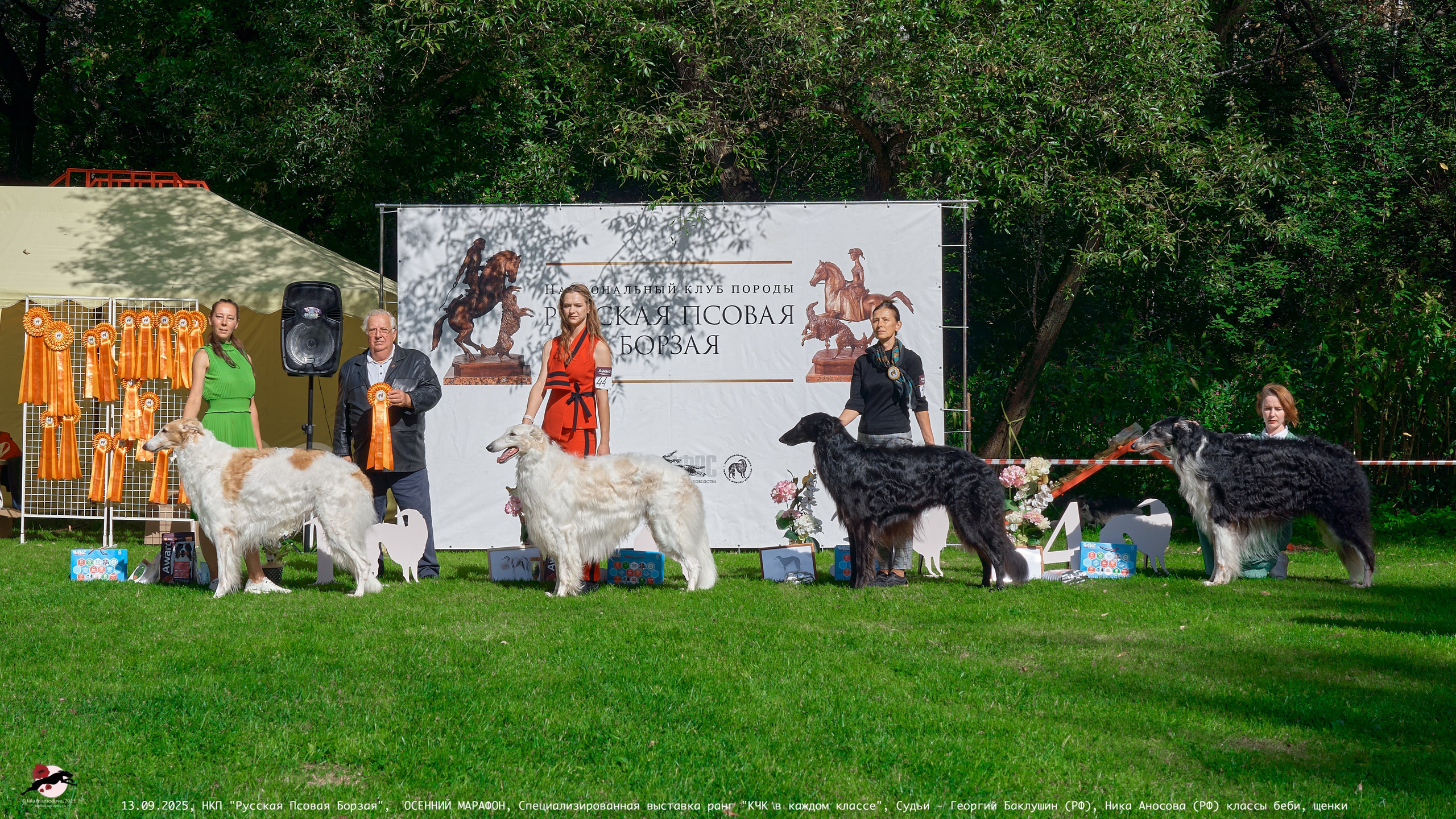 ОСЕННИЙ МАРАФОН | Специализированная выставка породы Русская Псовая Борзая ранг "КЧК в каждом классе"