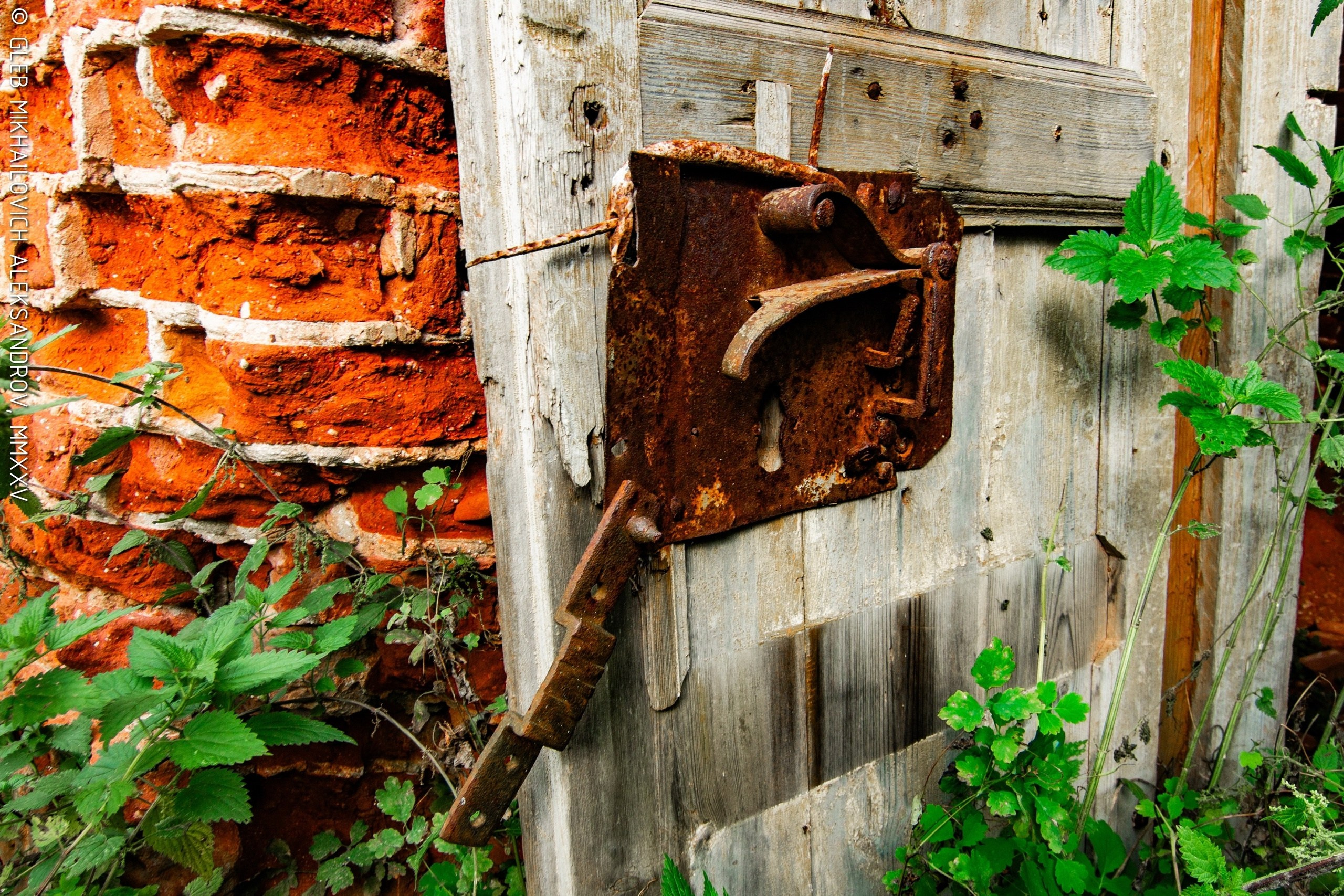 Васильевское урочище. Храм Василия Великого. Зодчество