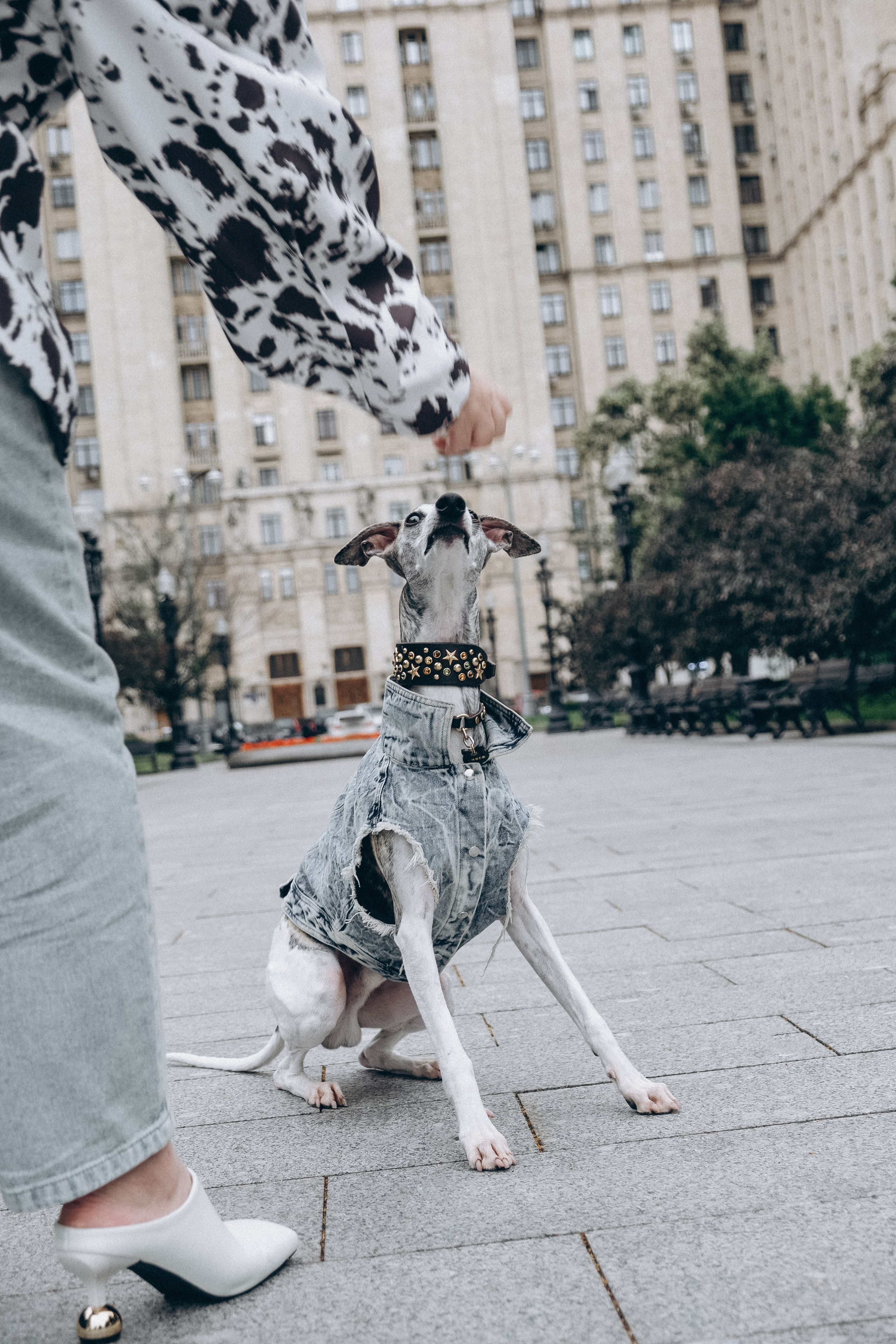 Nataresso | фотограф Москва