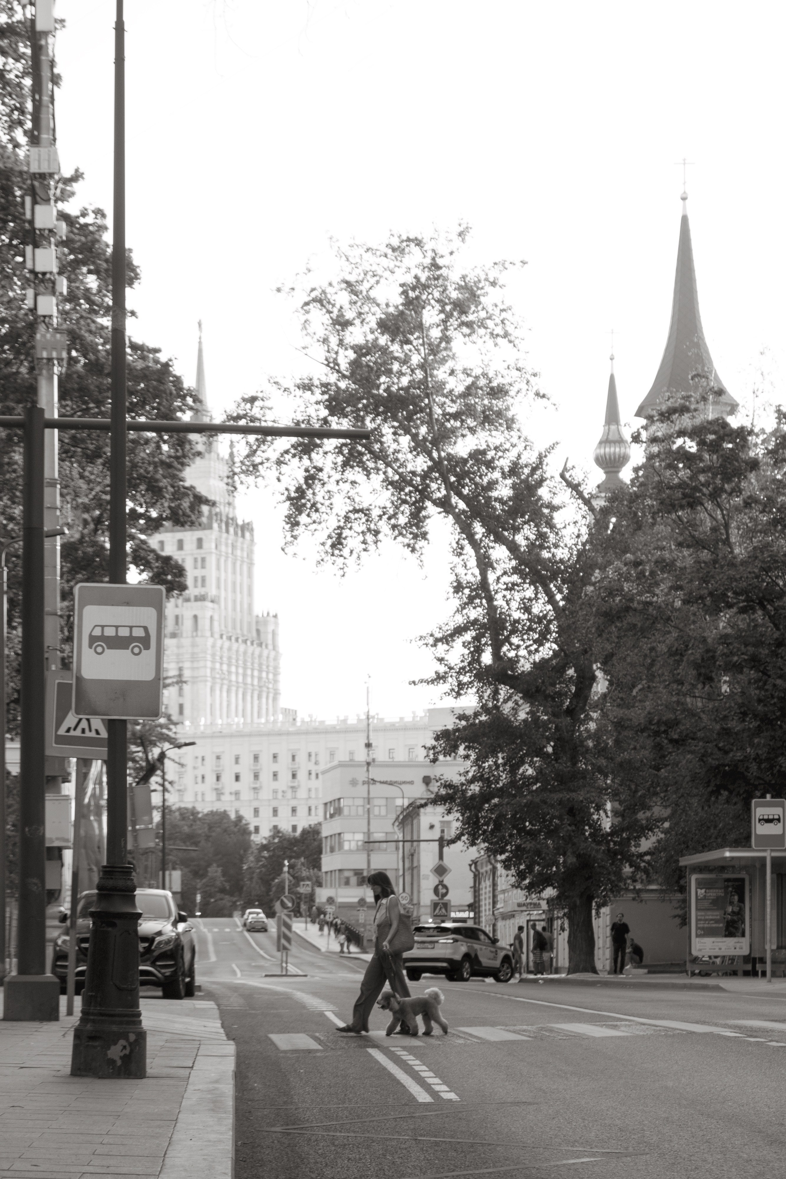 Nataresso | фотограф Москва