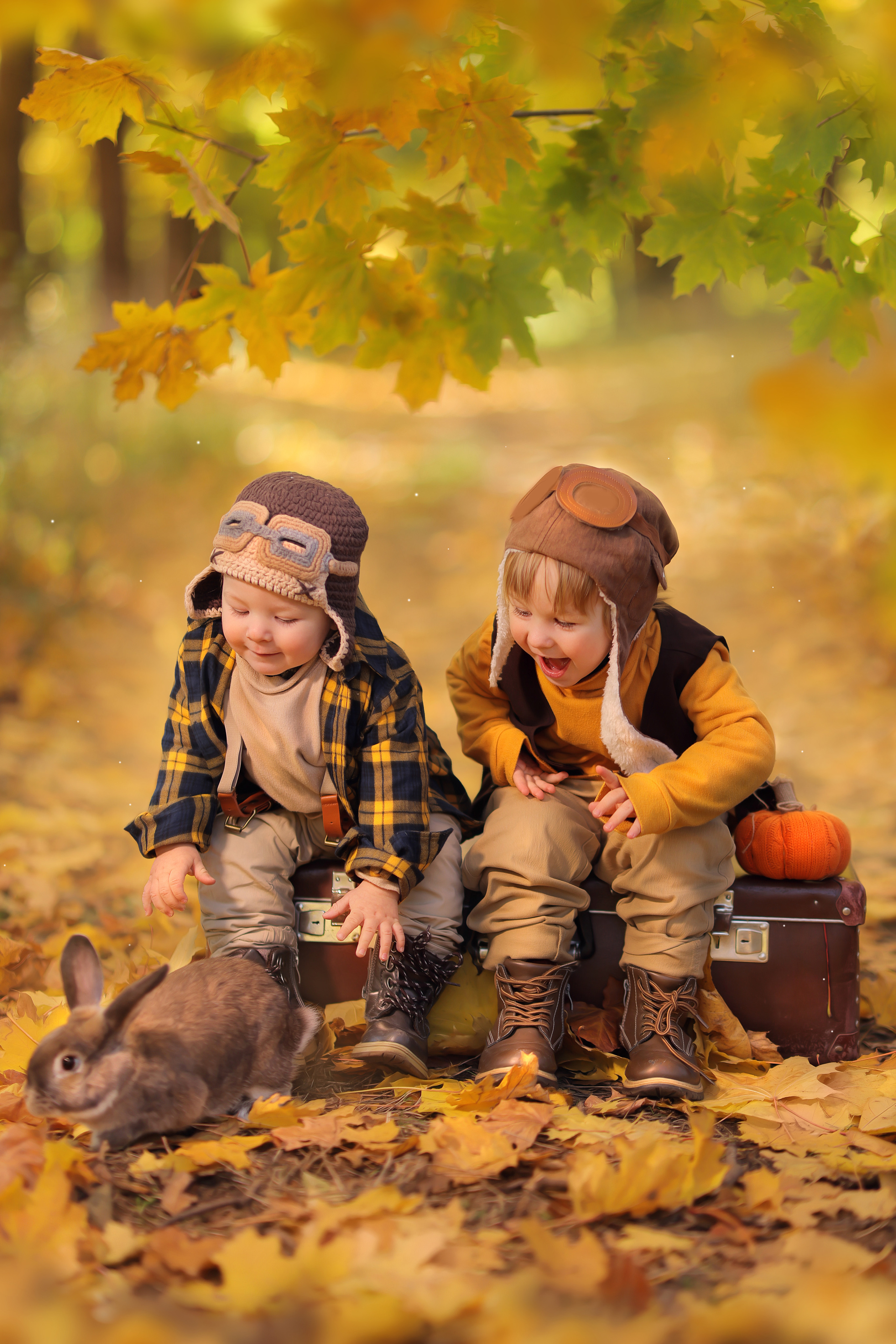 Осенний фото день. Главная