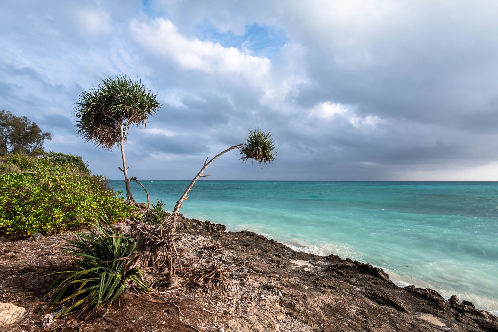 Африка, Танзания, Занзибар, Нунгви. Africa, Tanzania, Zanzibar, Nungwi. Фотограф Алексей Скоробогатько