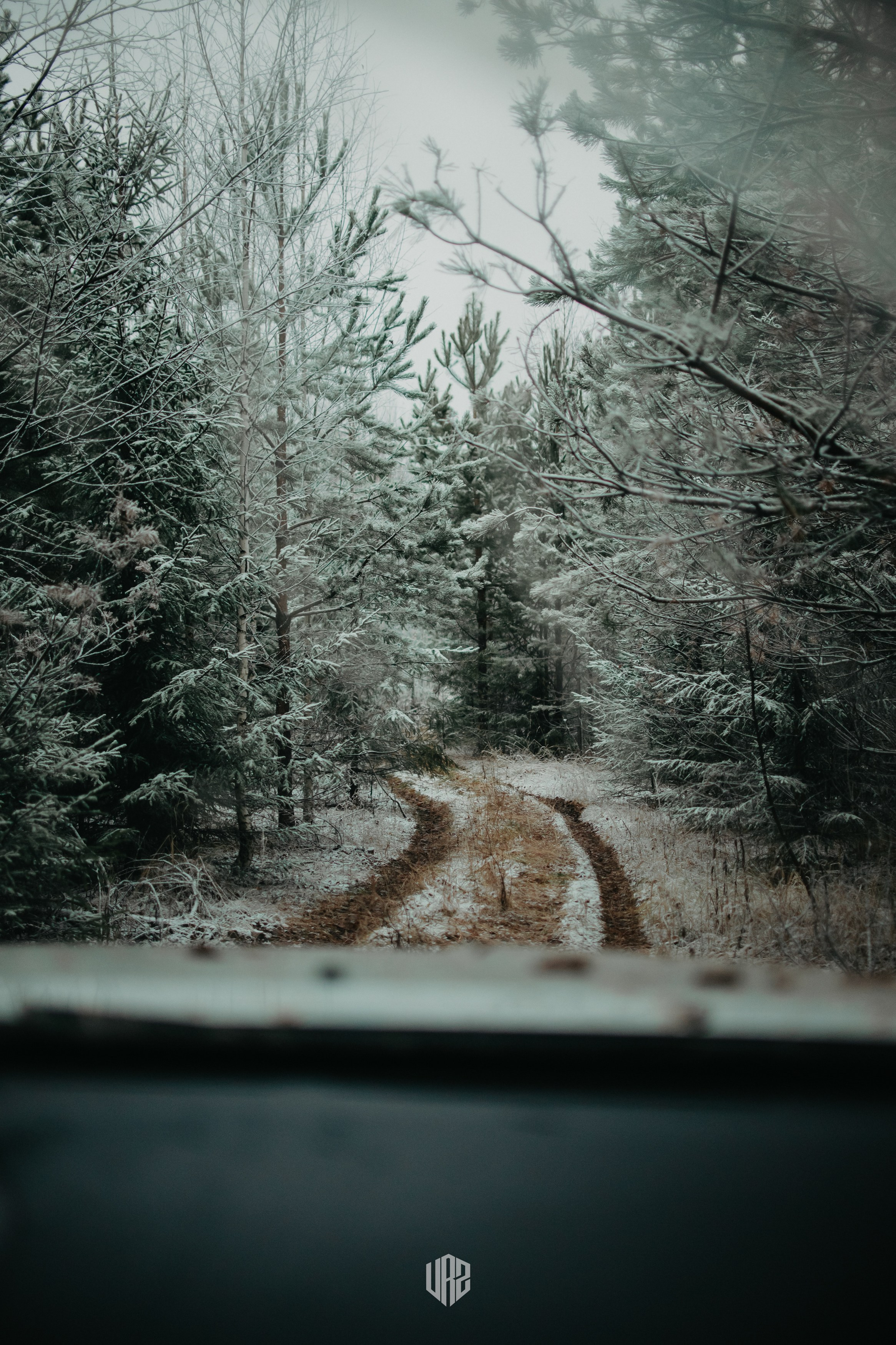 «Затерянное Вятки». Путь на «поющие пески». Контент фотограф Илья Урс
