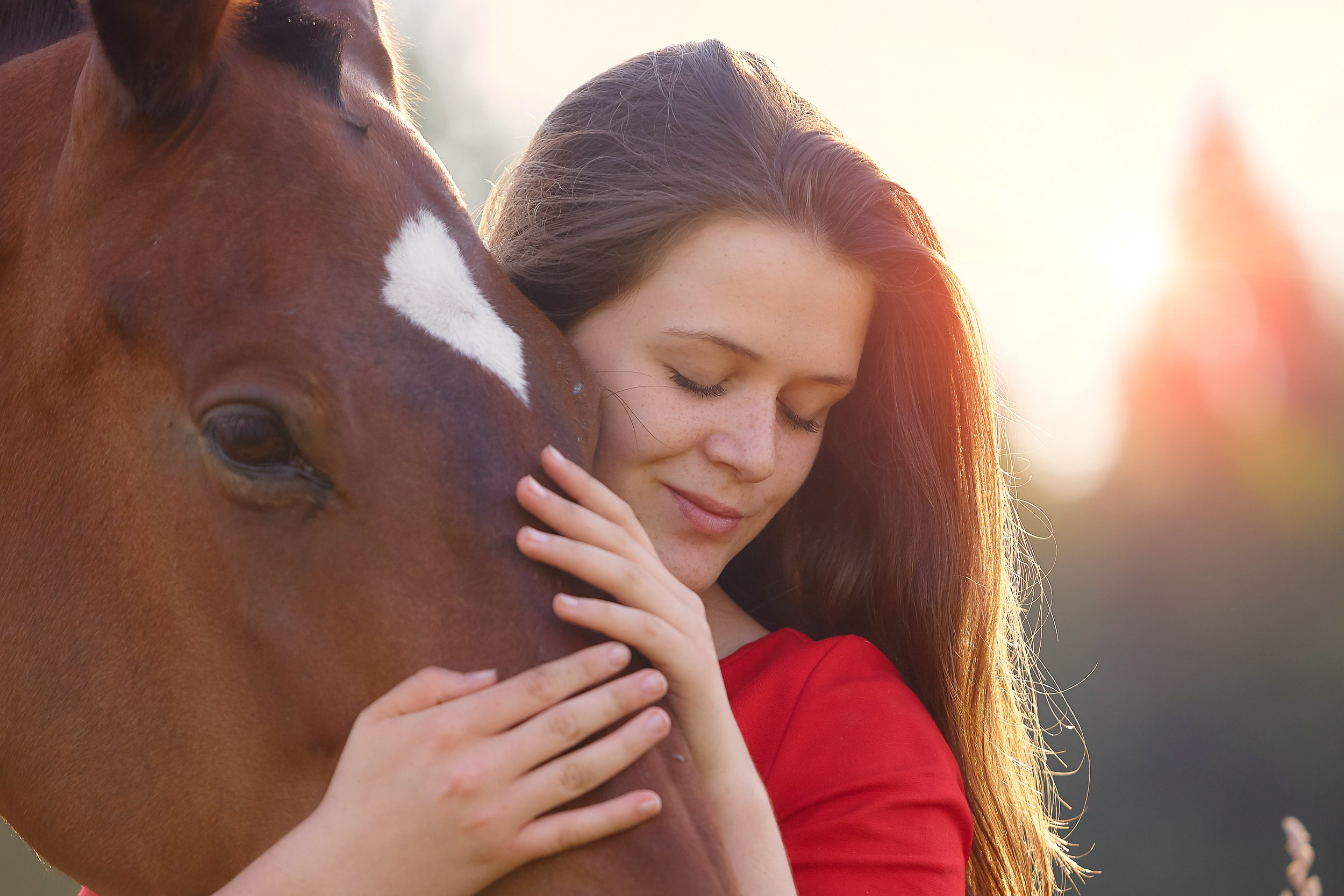 Фотосессия с лошадьми Фотограф Михаил Семенов, г. Ярославль