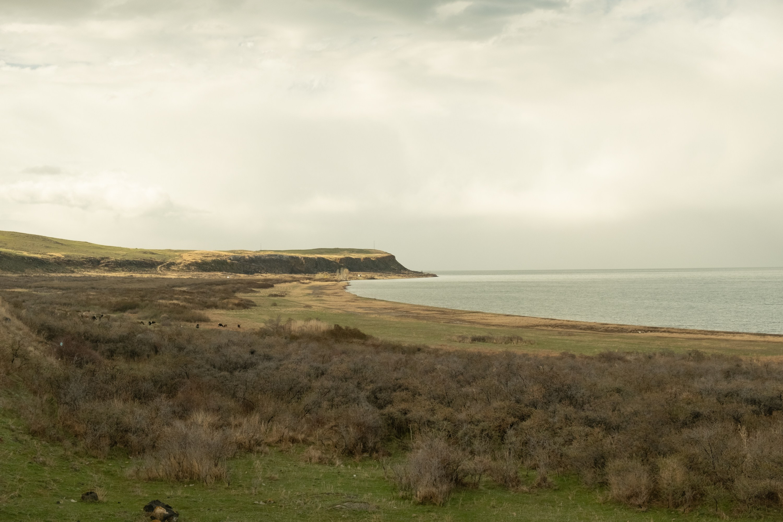 — Sevan (ongoing). Kirillov Egor