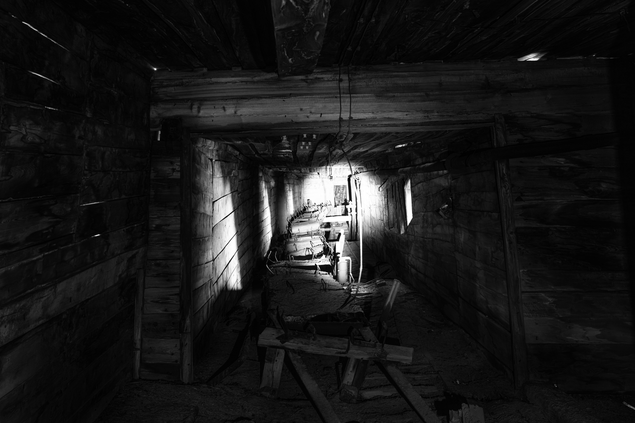 Город Солнца. Элина Гусарова