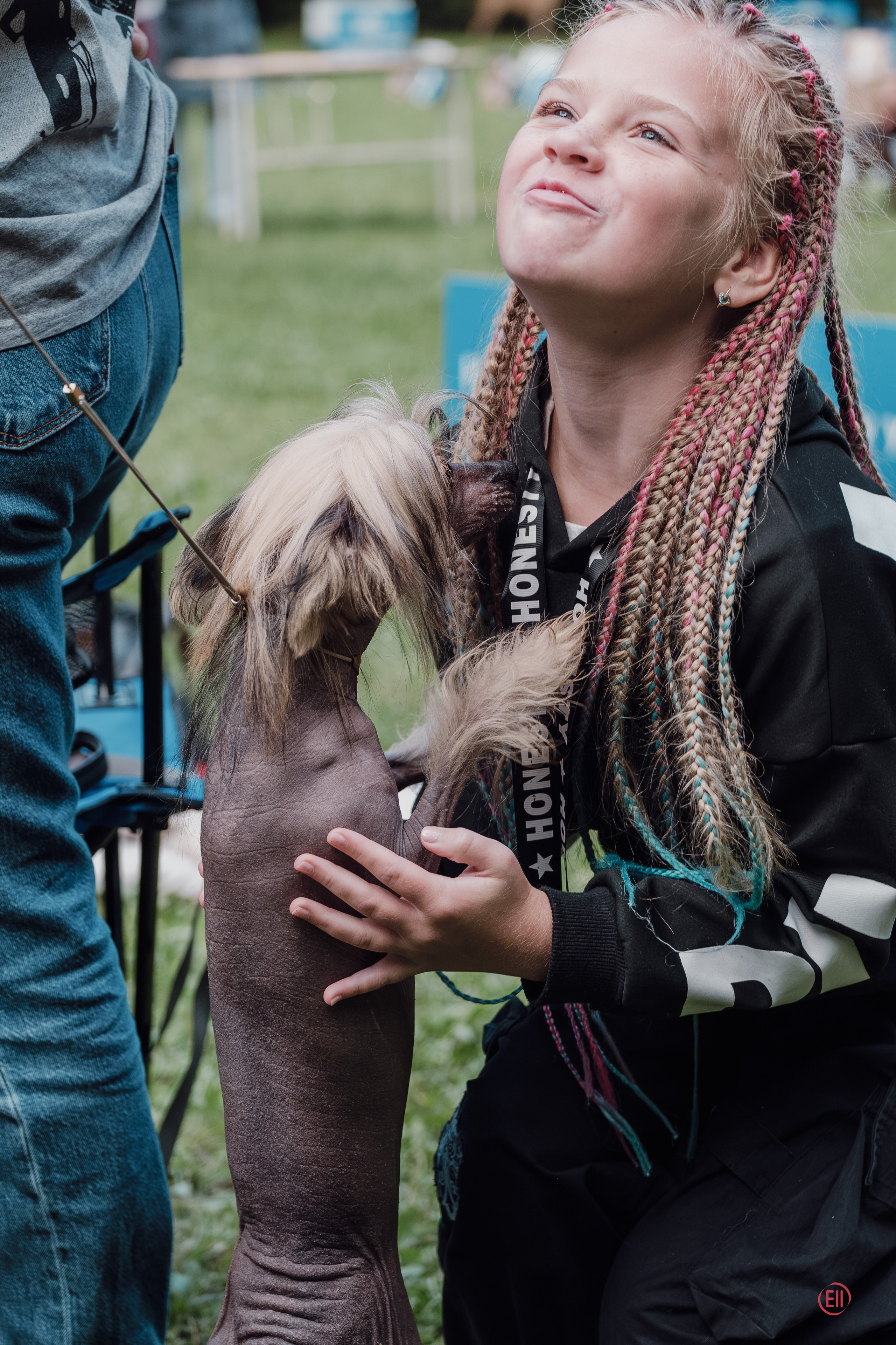Moscow, MOO “Globus Plus”, SAS ChF rank exhibition. Chinese Crested Dog Kennel Poale Ell