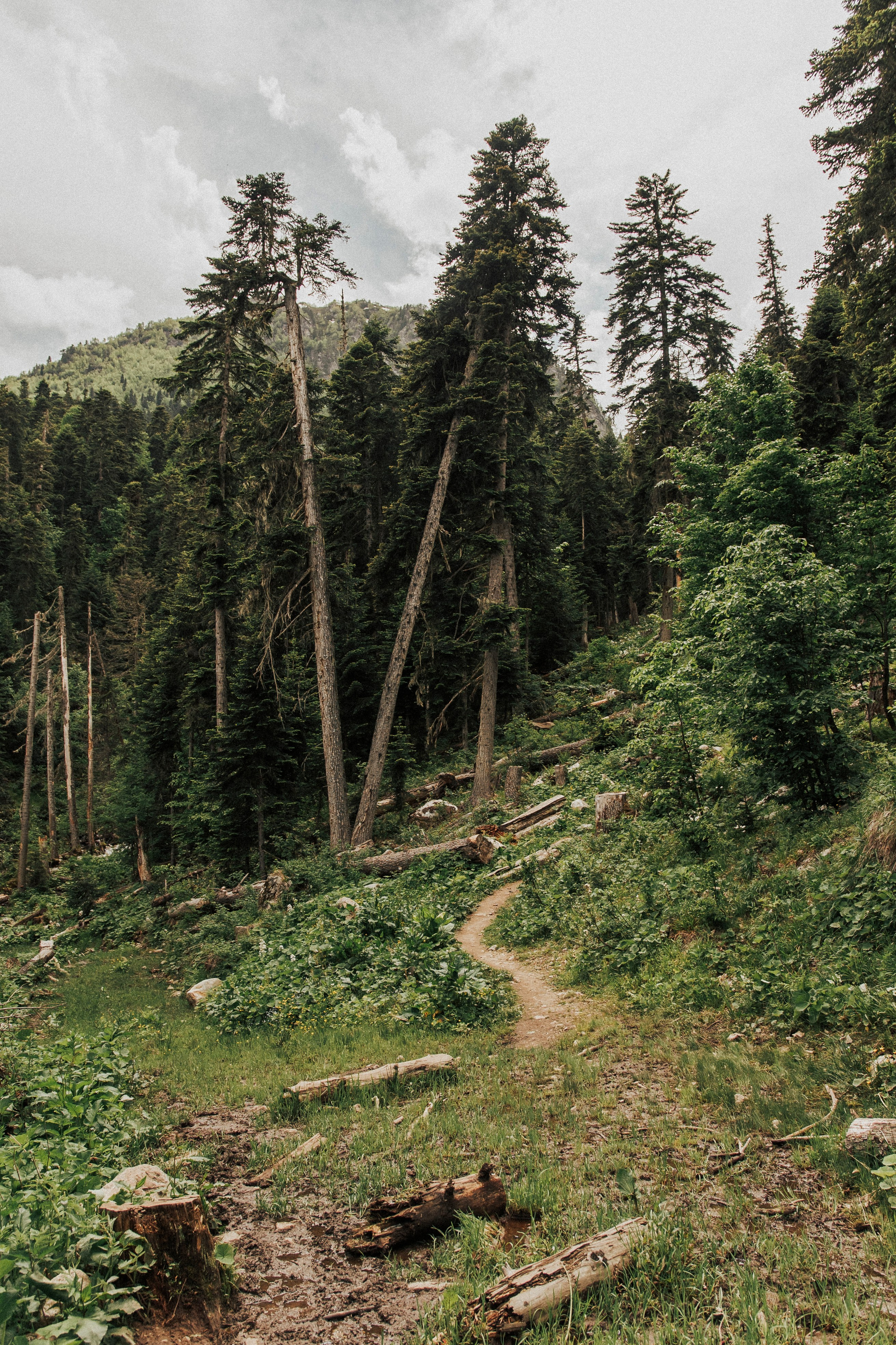 НАША ВЫСОТА 2280. Фотограф Настя Конник | Пятигорск | Эльбрус | Домбай | Архыз | Видеограф КМВ