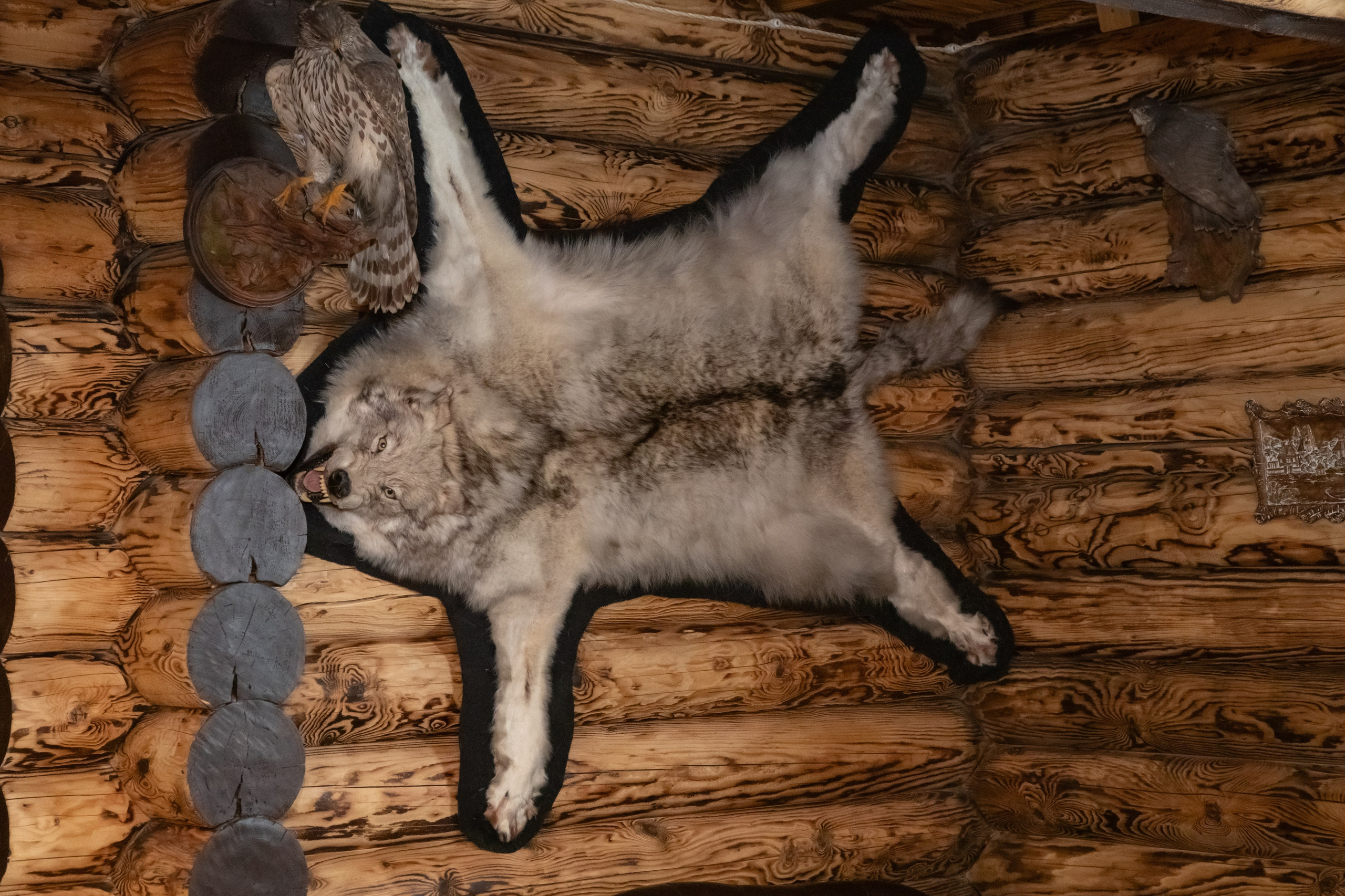 Дом «Охотничий». Банный комплекс «С легким паром»