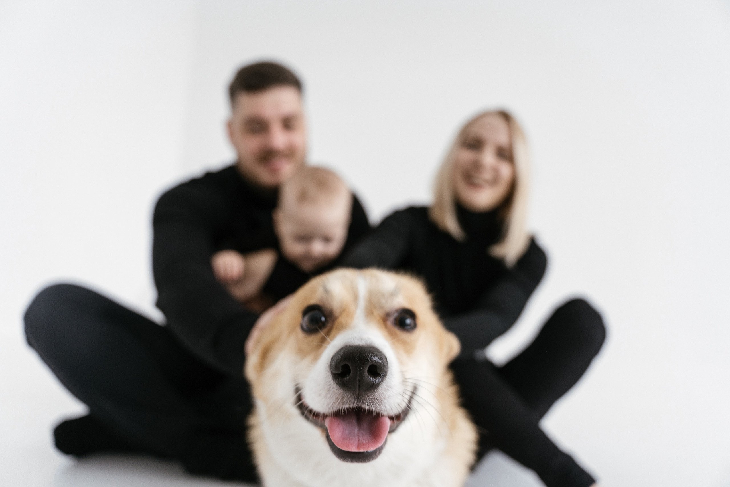 31.10.2021 Family. Фотограф Томск, Новосибирск Влад Свириденко