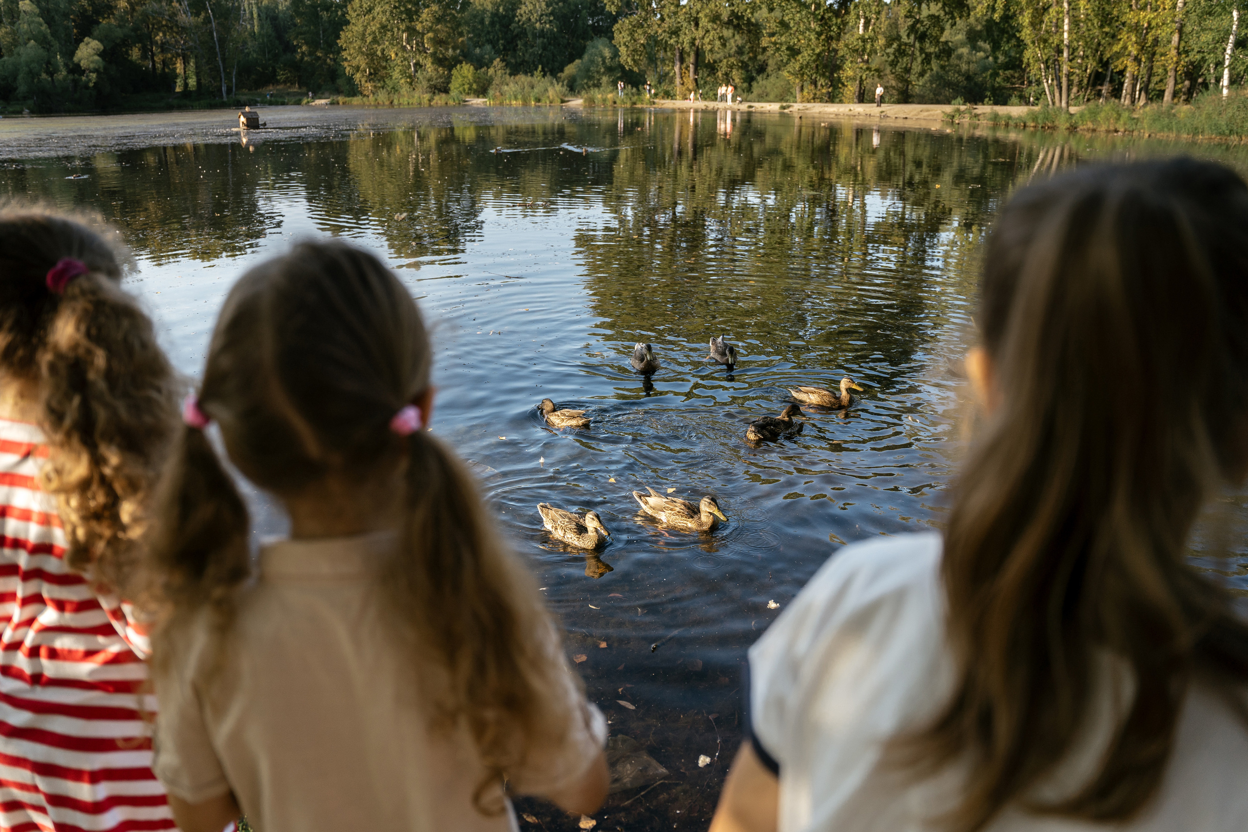 24.08.2021. Фотограф Томск, Новосибирск Влад Свириденко
