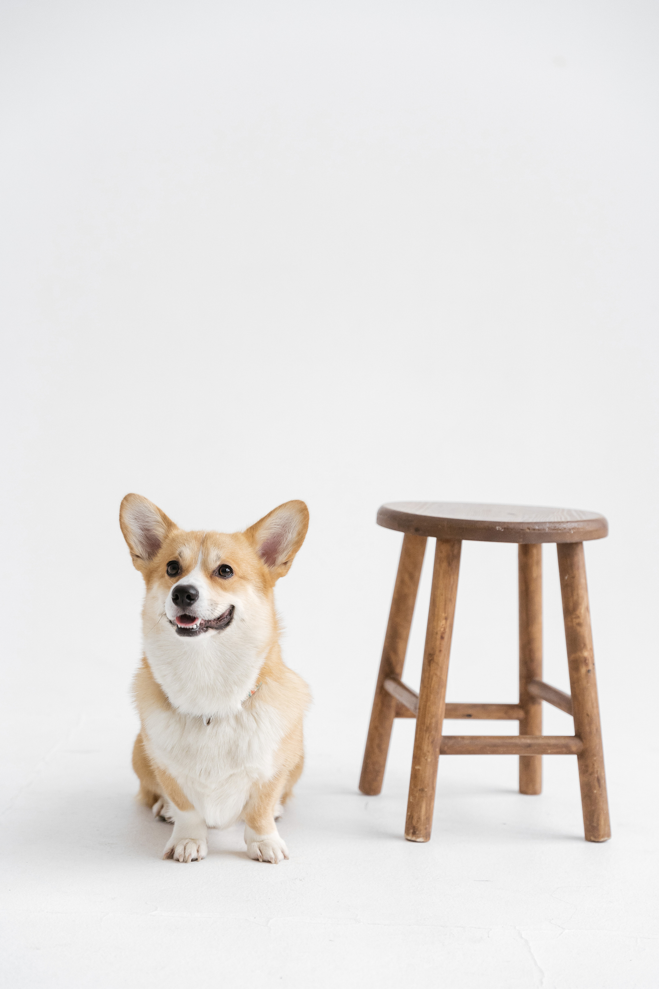 31.10.2021 Family. Фотограф Томск, Новосибирск Влад Свириденко