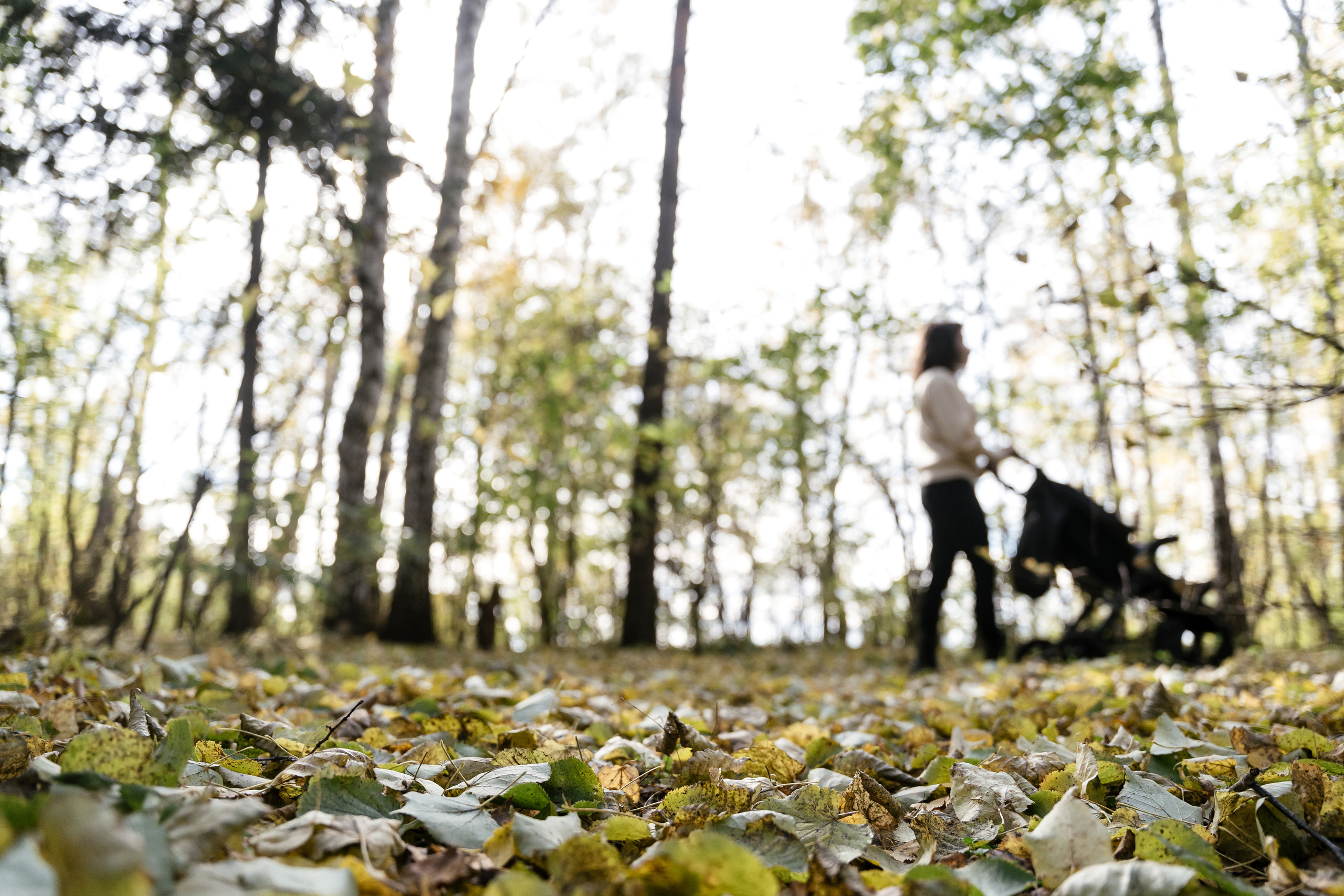 29.09.2021. Фотограф Томск, Новосибирск Влад Свириденко