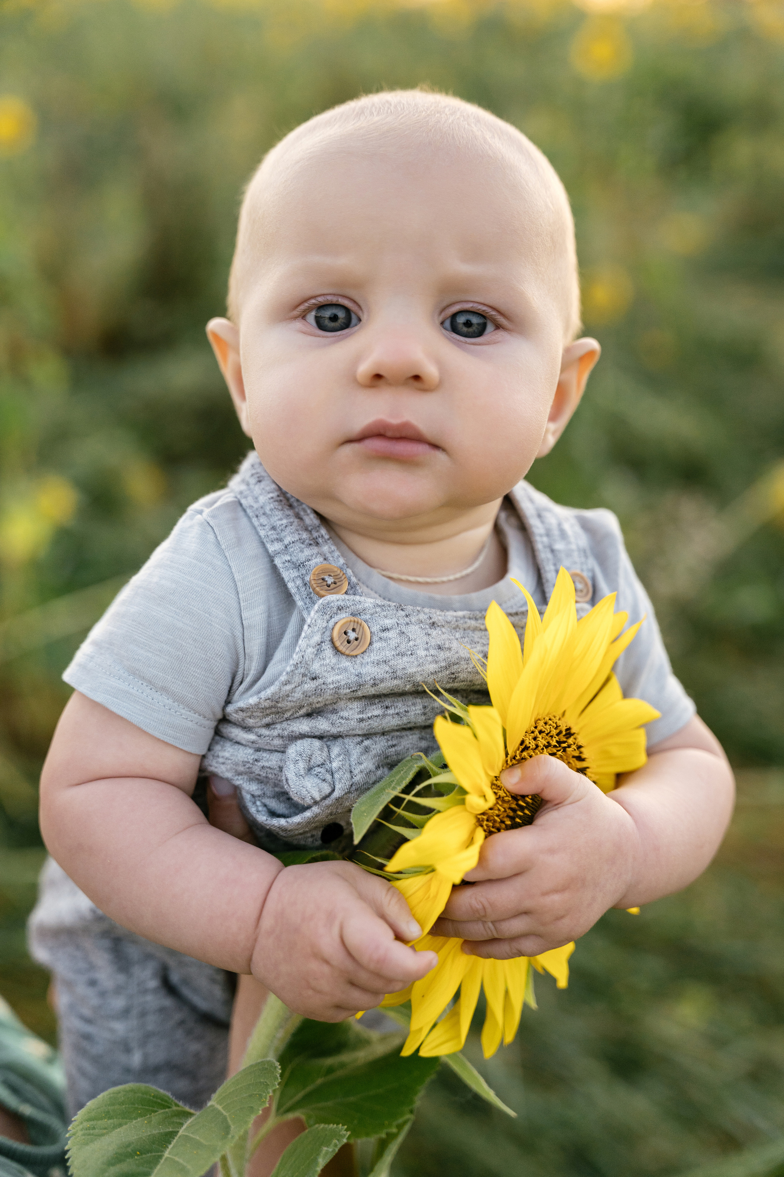 Поле, на котором детей больше, чем подсолнухов. Фотограф Томск, Новосибирск Влад Свириденко