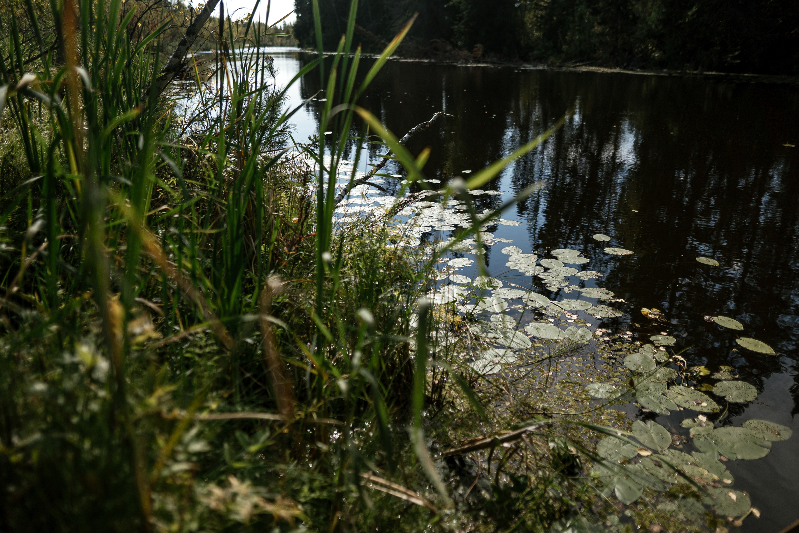 05.09.2021 Wedding day. Фотограф Томск, Новосибирск Влад Свириденко