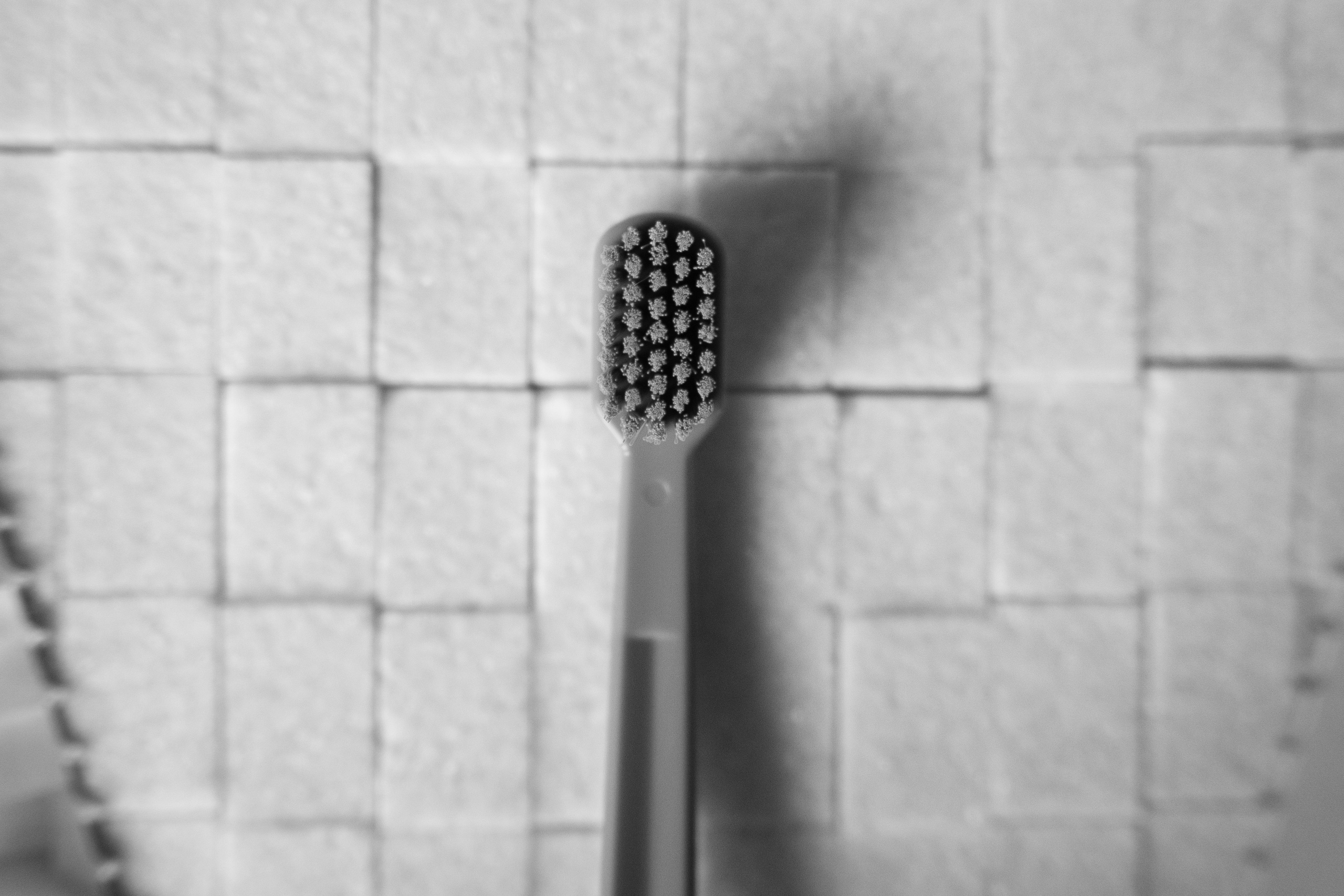 11.09.2021. Фотограф Томск, Новосибирск Влад Свириденко