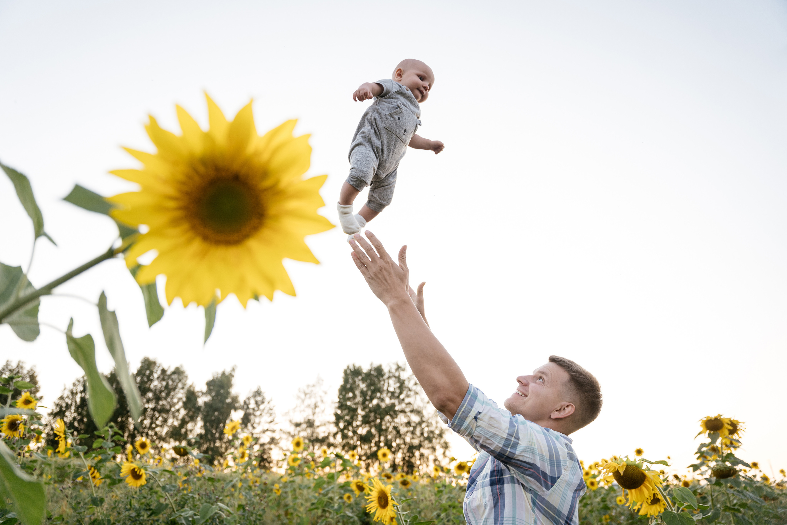 Поле, на котором детей больше, чем подсолнухов. Фотограф Томск, Новосибирск Влад Свириденко