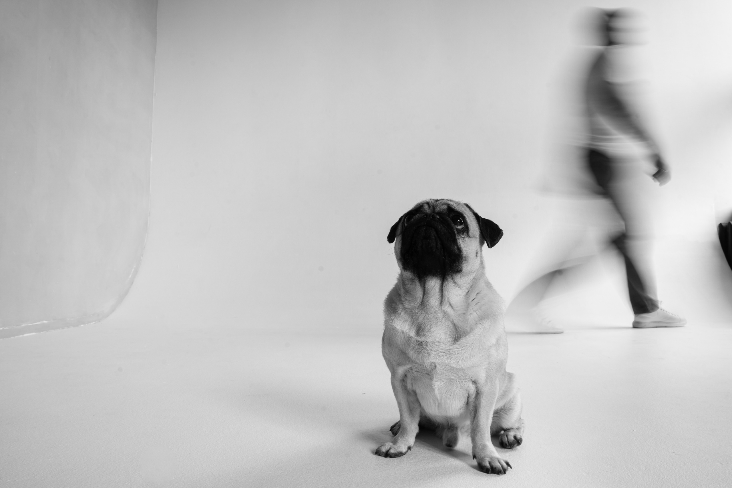 Паше 30ка. Фотограф Томск, Новосибирск Влад Свириденко