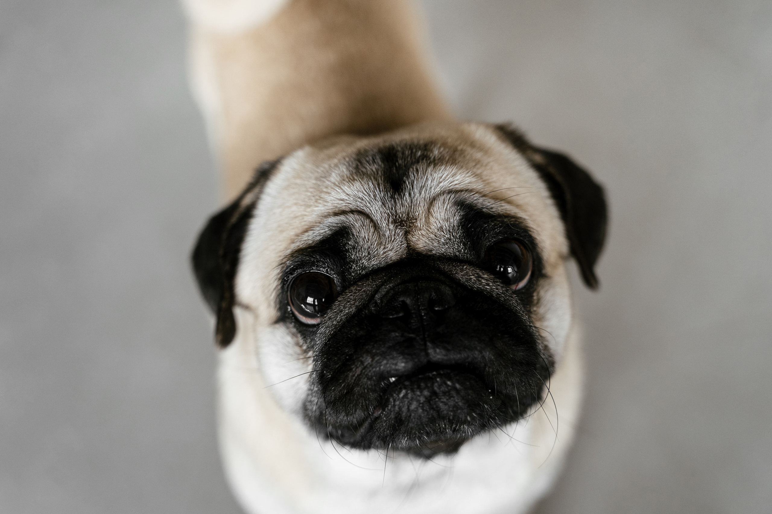 Паше 30ка. Фотограф Томск, Новосибирск Влад Свириденко