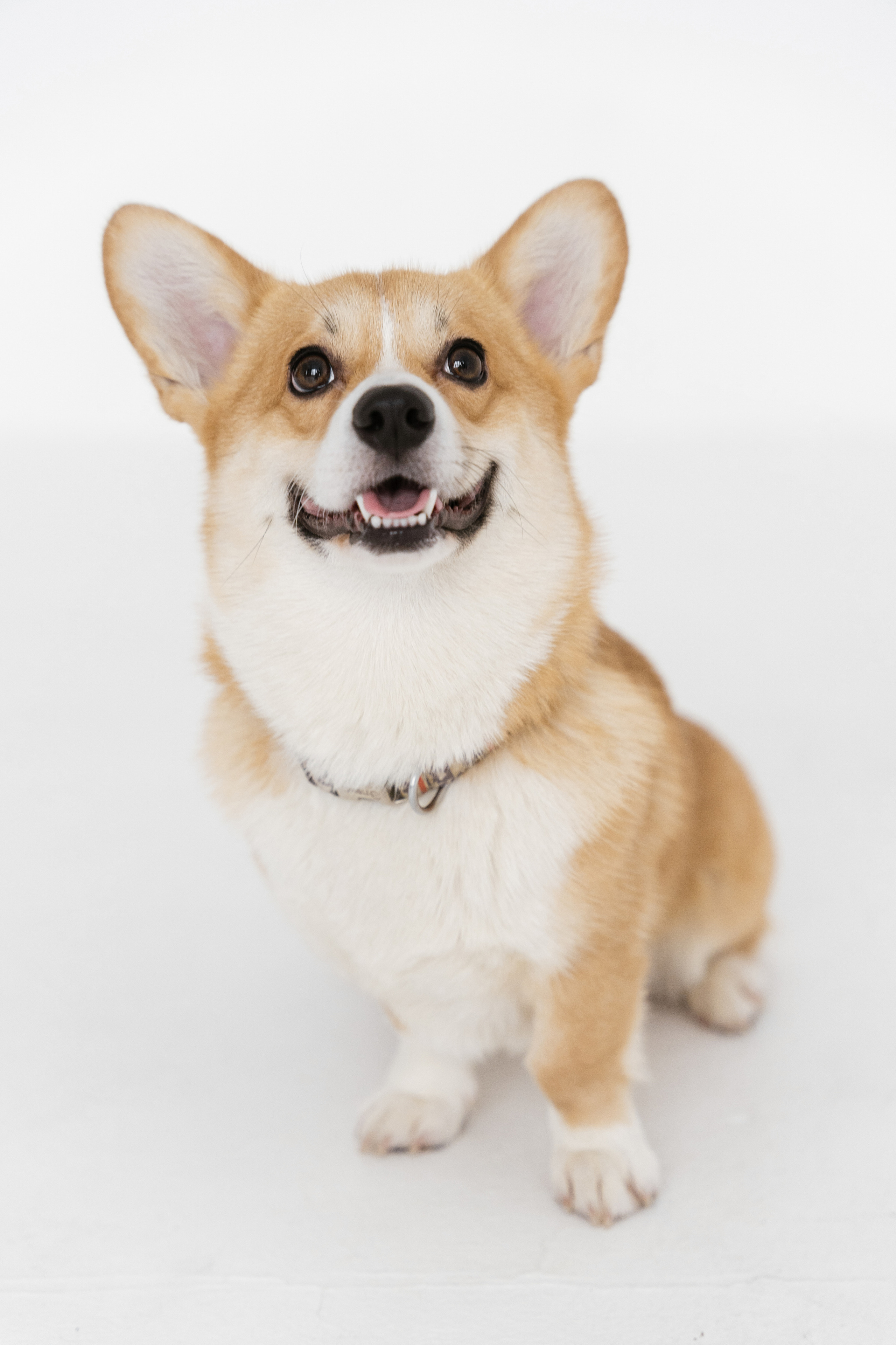 31.10.2021 Family. Фотограф Томск, Новосибирск Влад Свириденко