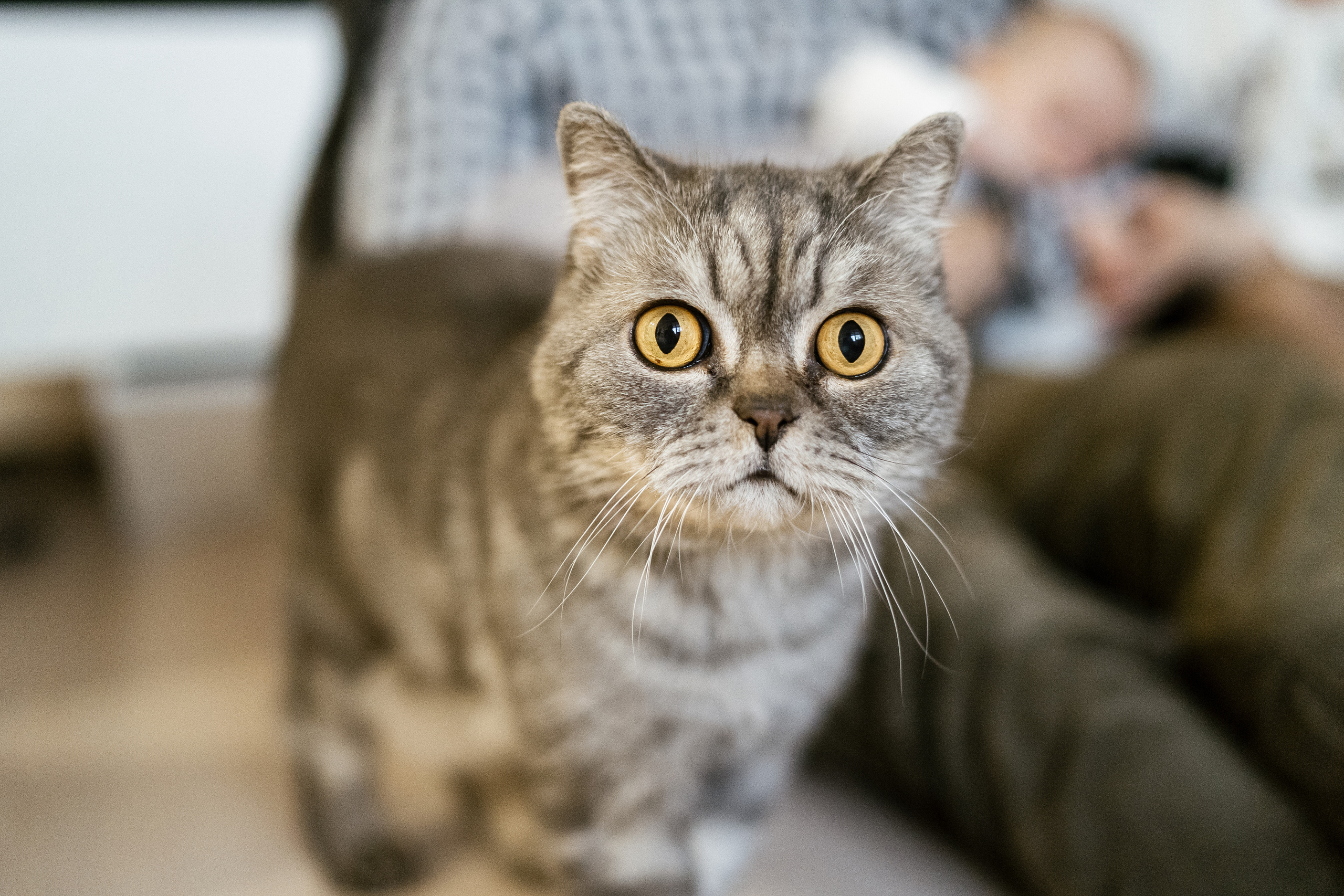 26.09.2021 Family. Фотограф Томск, Новосибирск Влад Свириденко