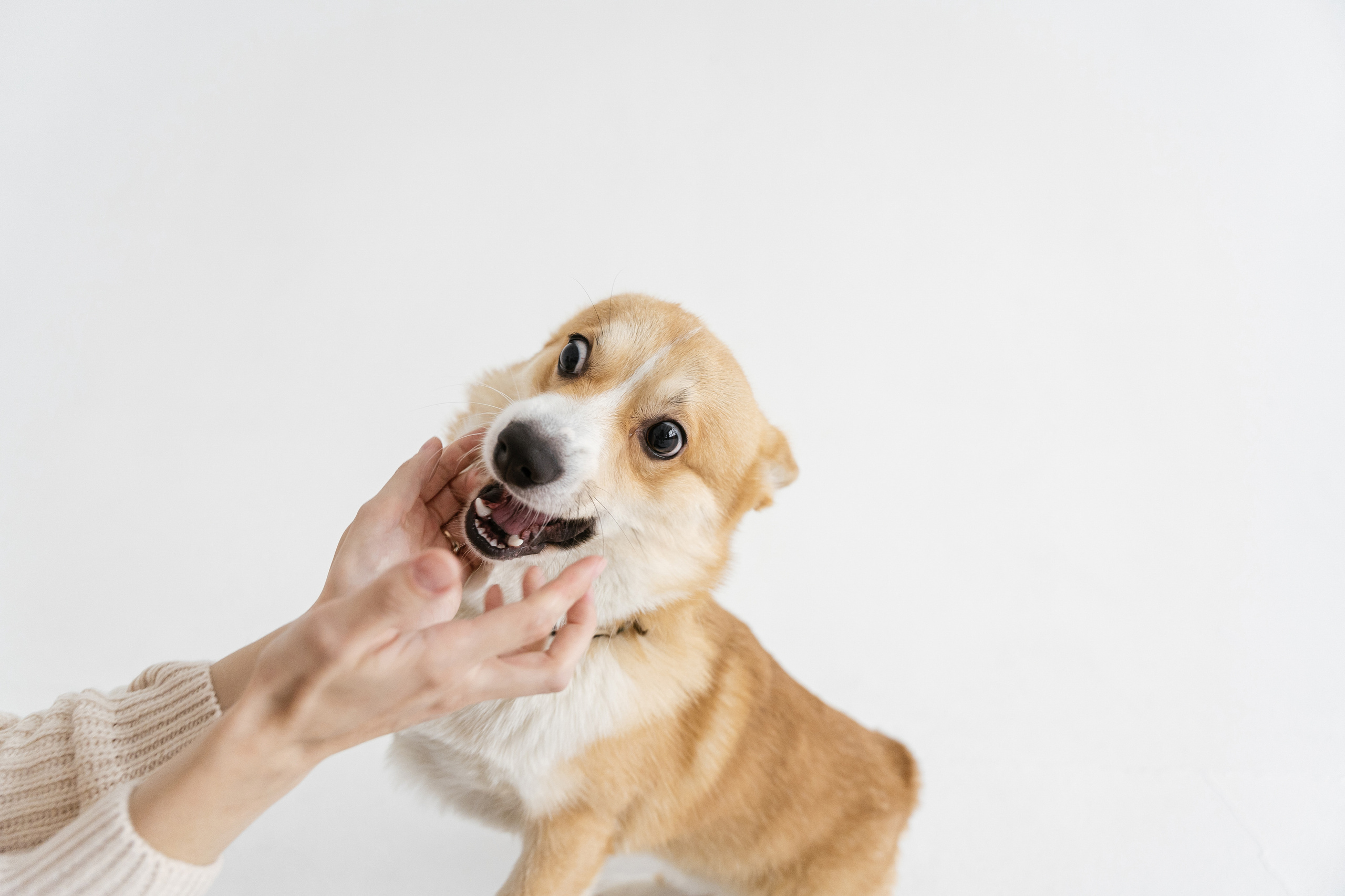 31.10.2021 Family. Фотограф Томск, Новосибирск Влад Свириденко