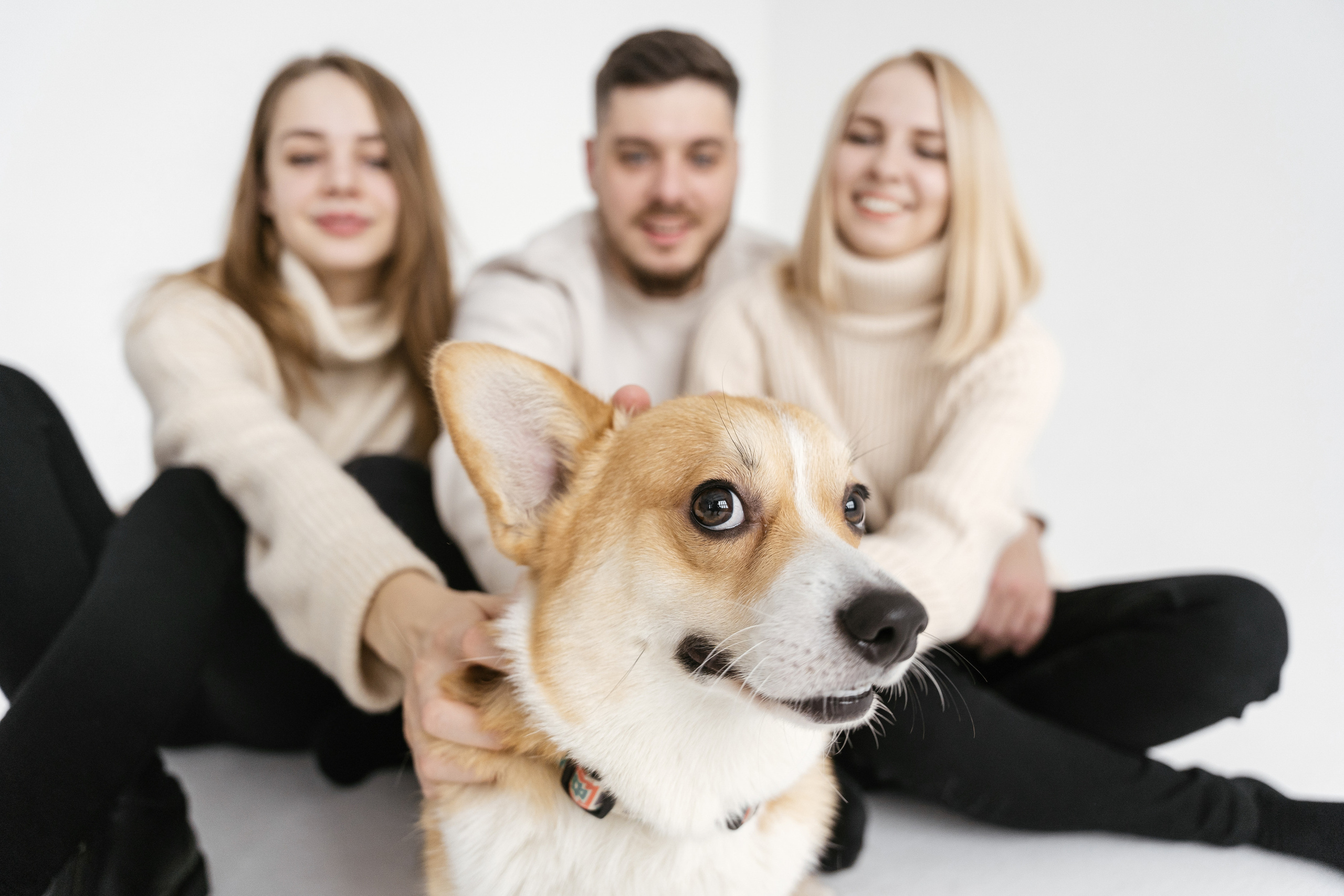 31.10.2021 Family. Фотограф Томск, Новосибирск Влад Свириденко
