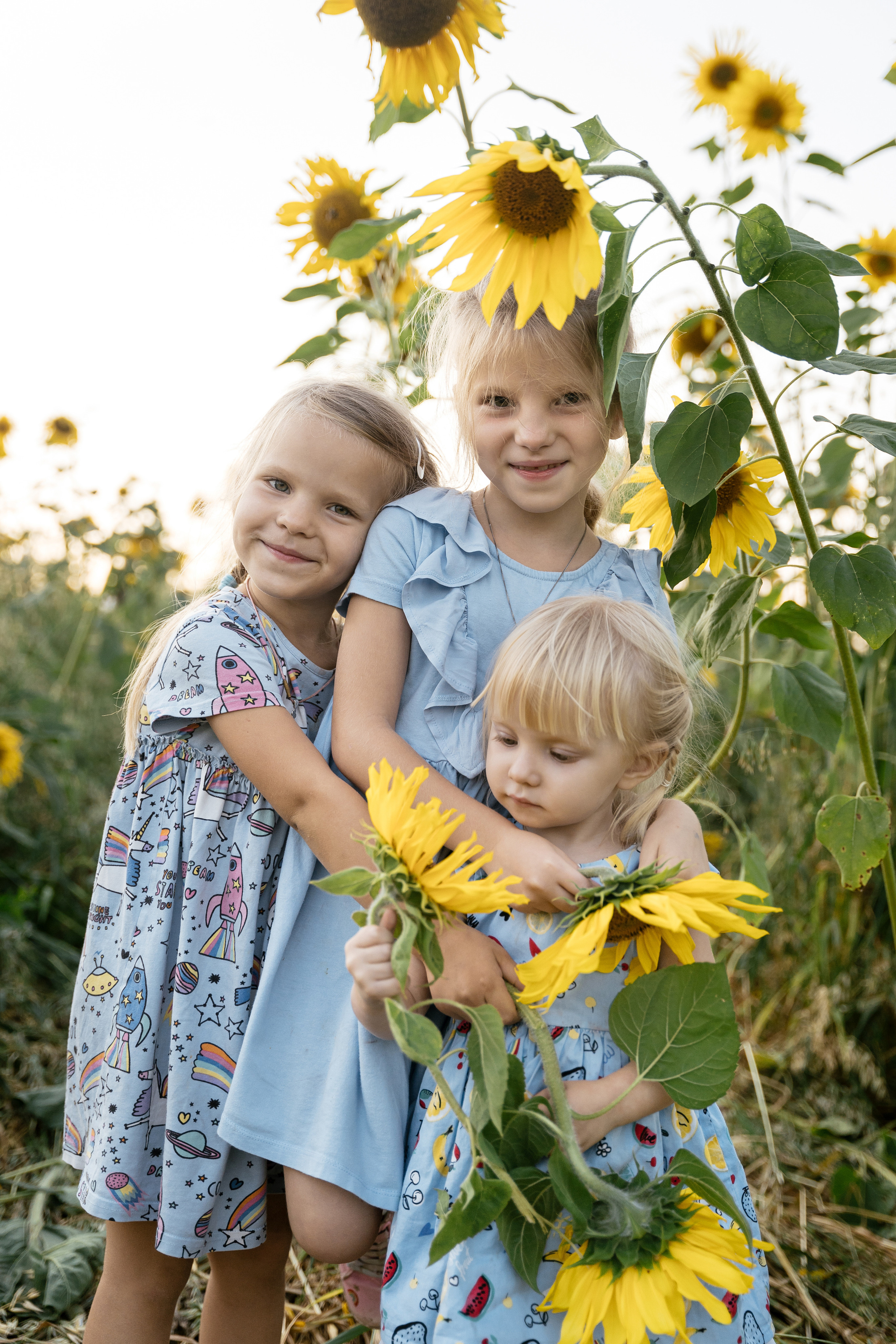 Поле, на котором детей больше, чем подсолнухов. Фотограф Томск, Новосибирск Влад Свириденко