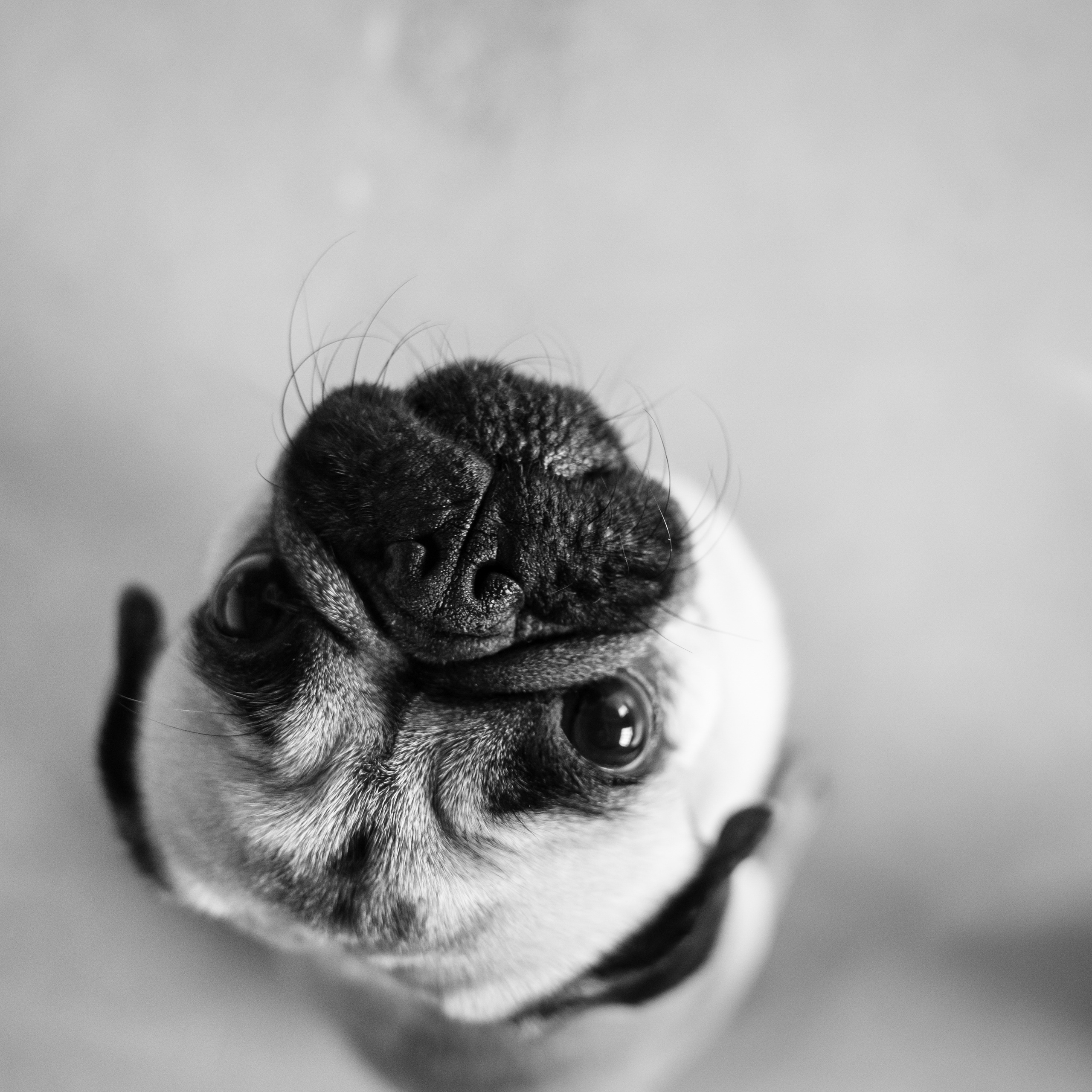 Паше 30ка. Фотограф Томск, Новосибирск Влад Свириденко