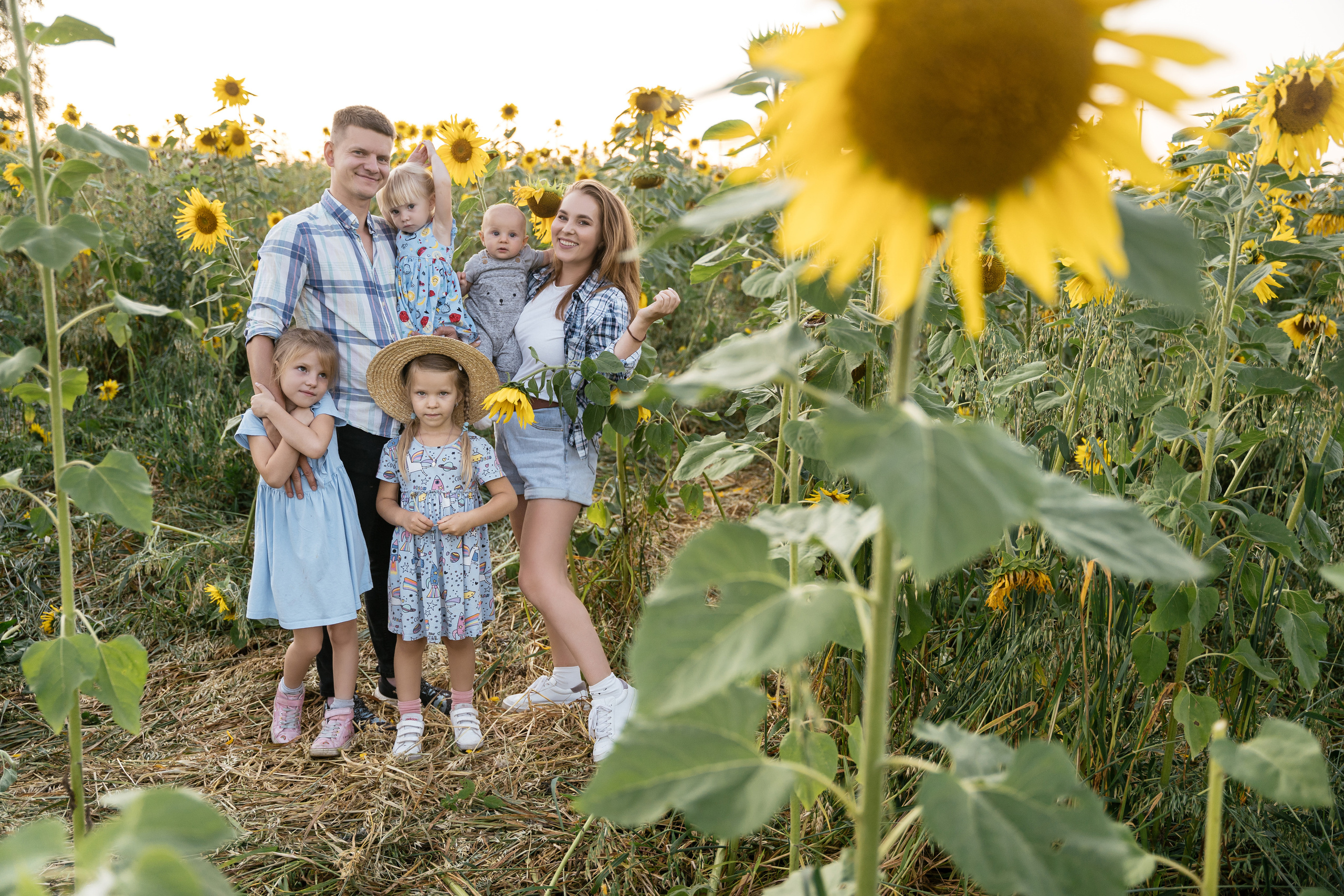 Поле, на котором детей больше, чем подсолнухов. Фотограф Томск, Новосибирск Влад Свириденко