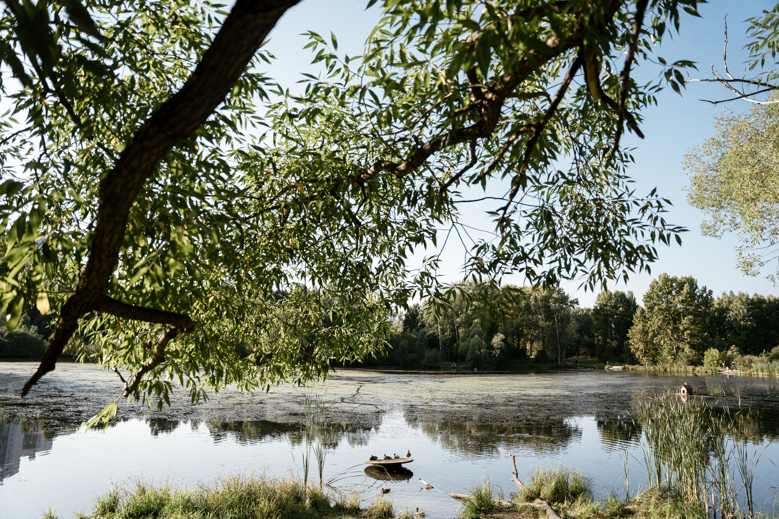 24.08.2021. Фотограф Томск, Новосибирск Влад Свириденко