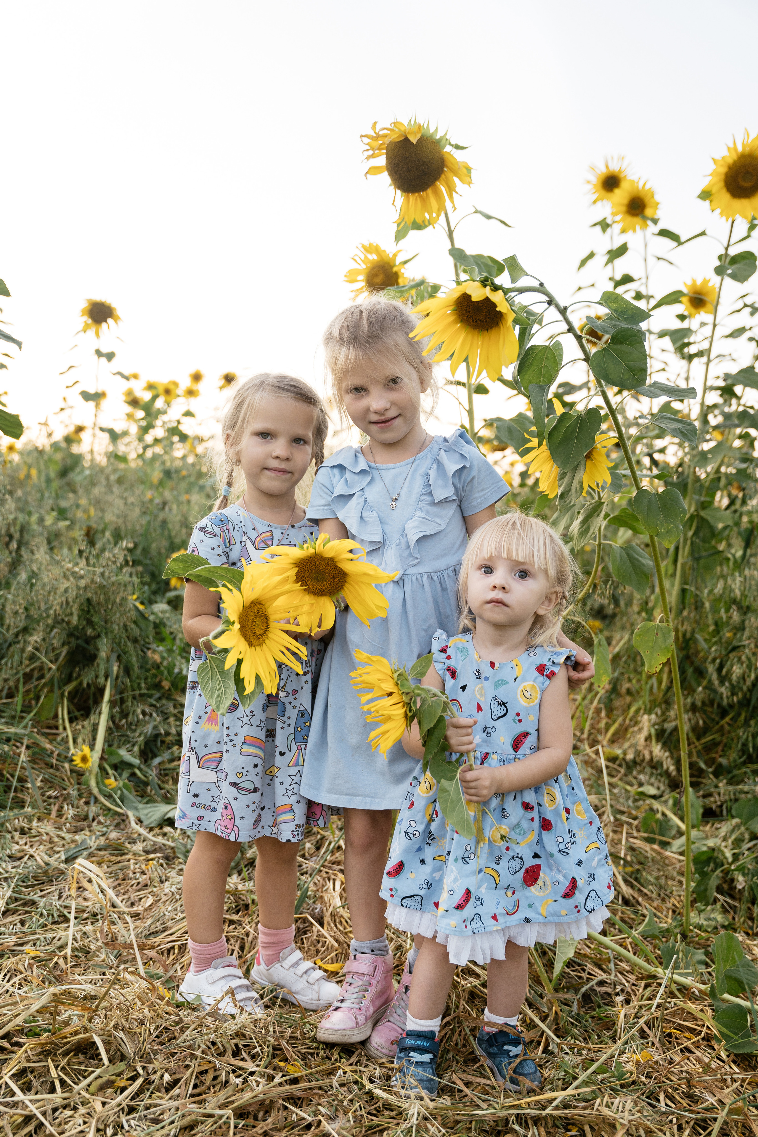 Поле, на котором детей больше, чем подсолнухов. Фотограф Томск, Новосибирск Влад Свириденко