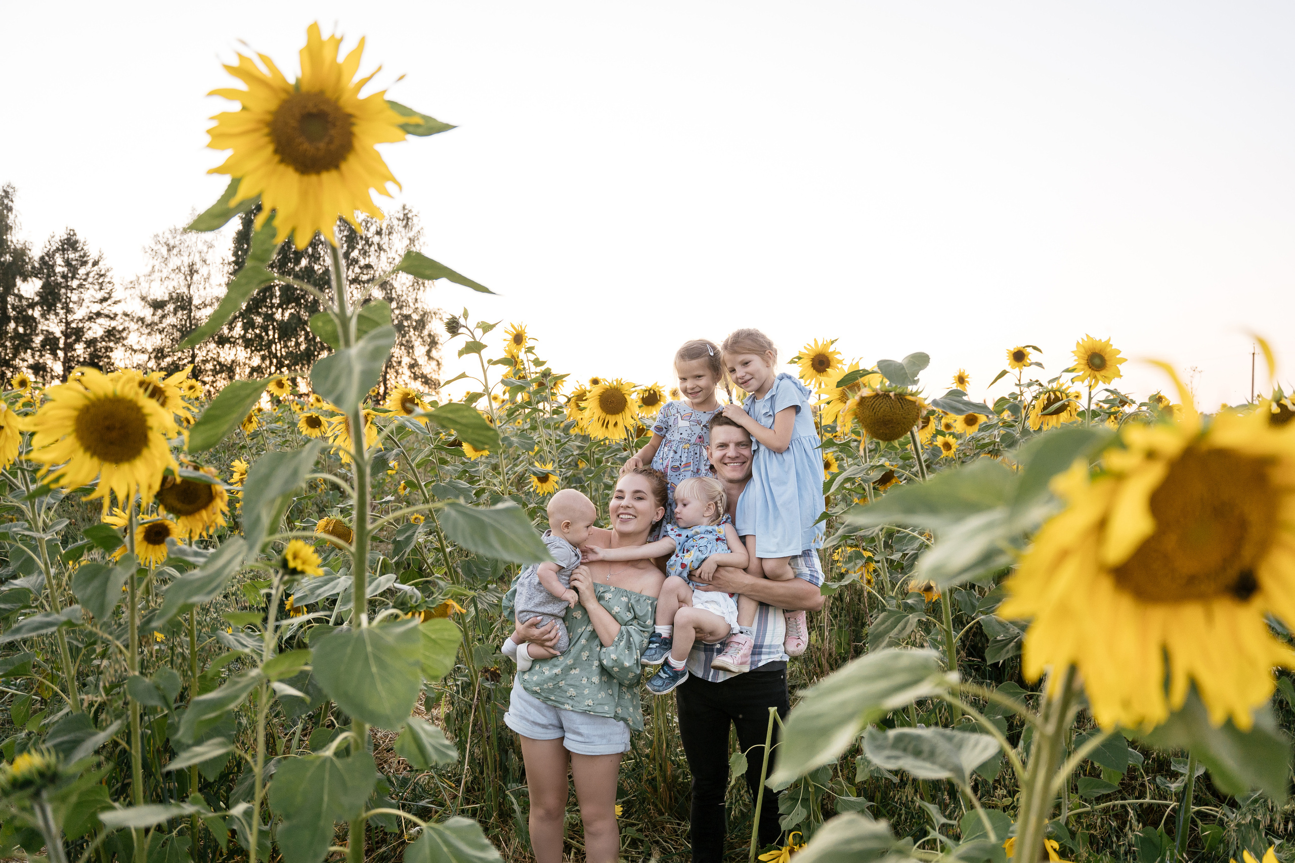 Поле, на котором детей больше, чем подсолнухов. Фотограф Томск, Новосибирск Влад Свириденко