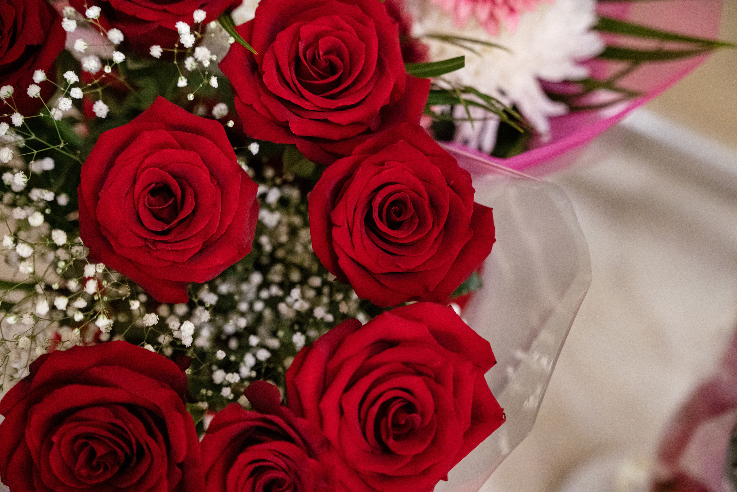 23.11.2021. Фотограф Томск, Новосибирск Влад Свириденко