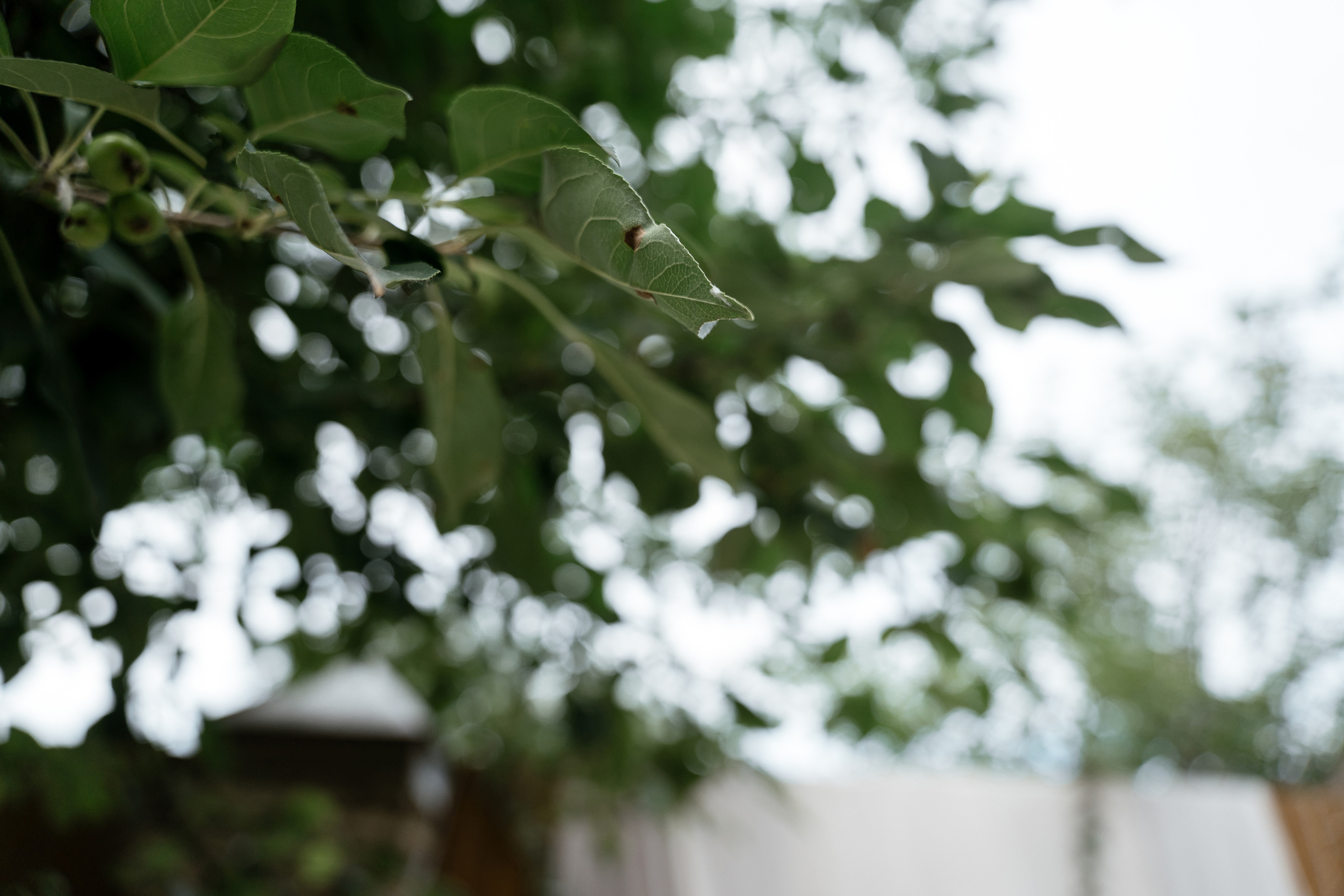 14.07.2021 Wedding day. Фотограф Томск, Новосибирск Влад Свириденко