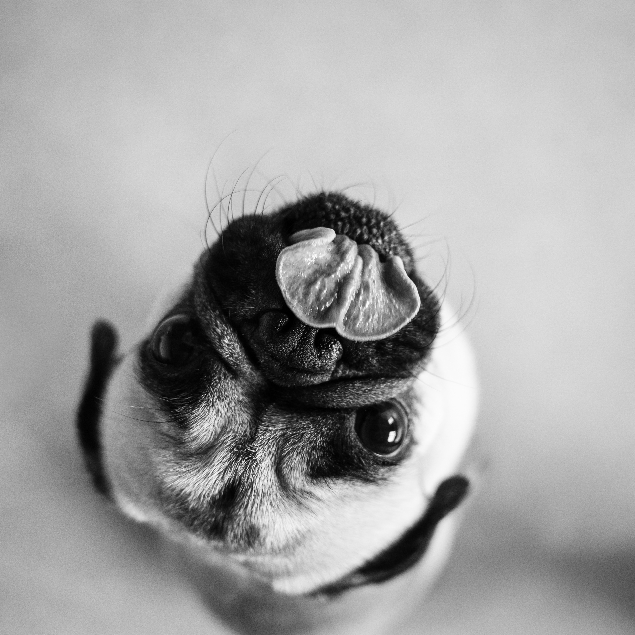 Паше 30ка. Фотограф Томск, Новосибирск Влад Свириденко