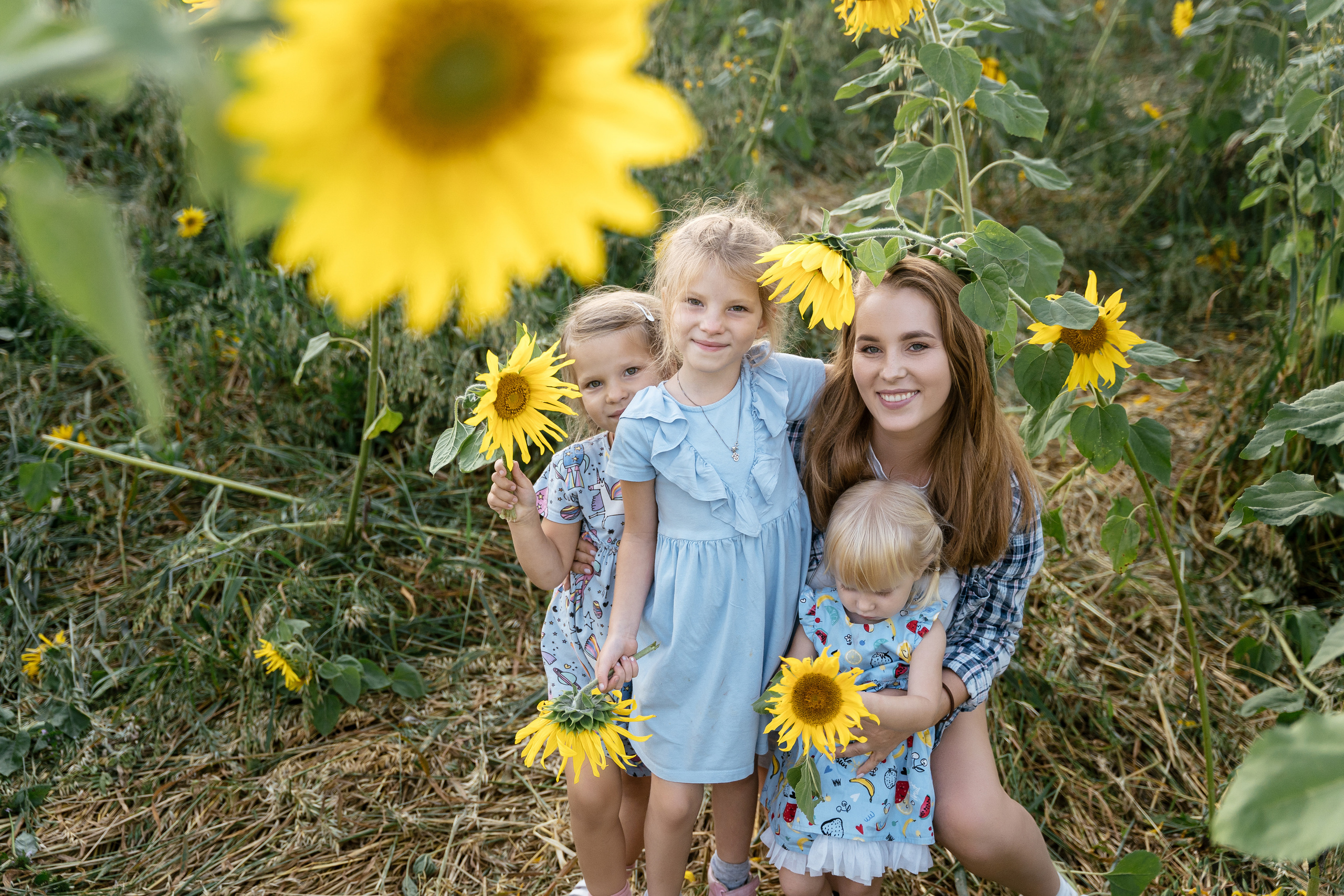 Поле, на котором детей больше, чем подсолнухов. Фотограф Томск, Новосибирск Влад Свириденко