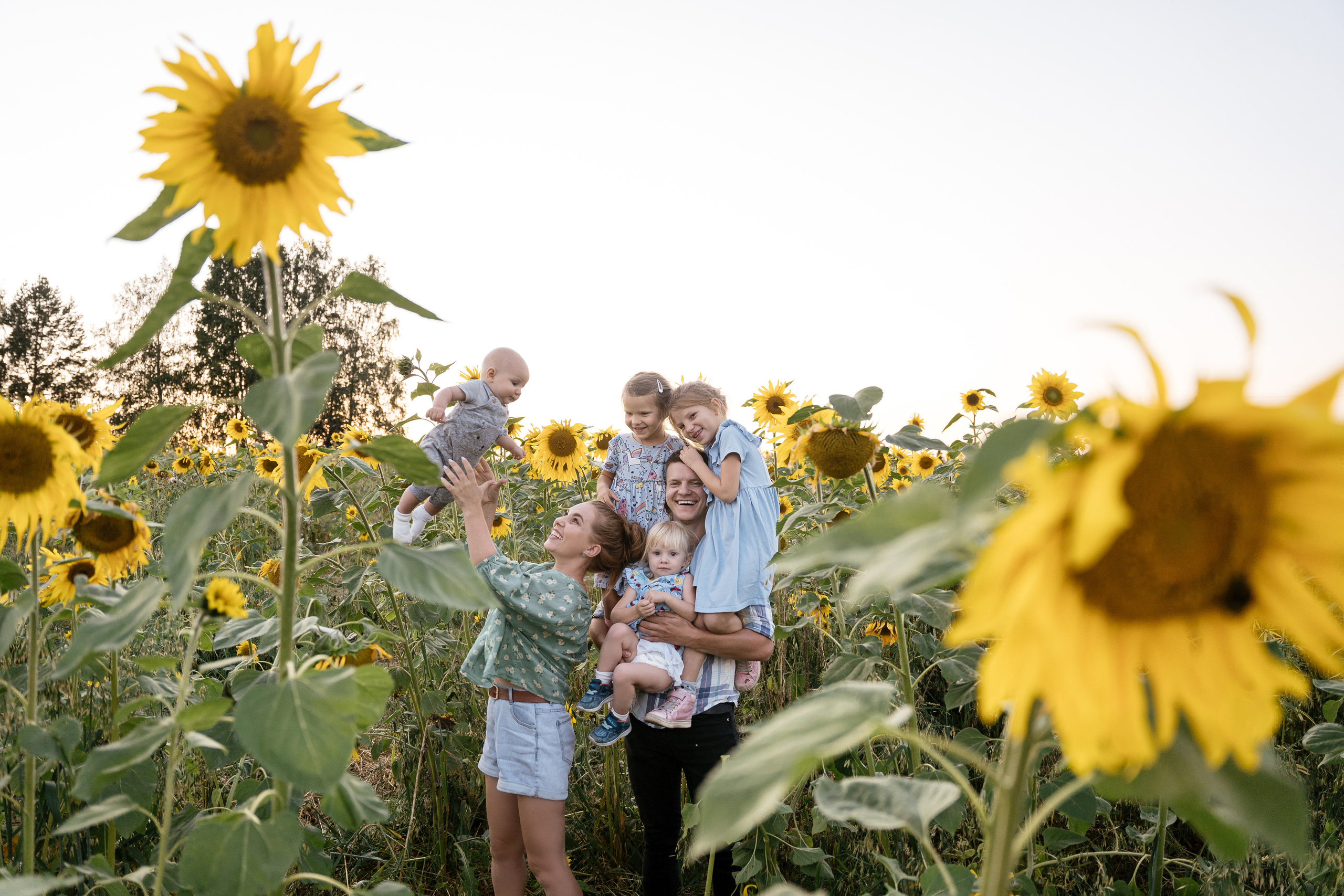 Поле, на котором детей больше, чем подсолнухов. Фотограф Томск, Новосибирск Влад Свириденко