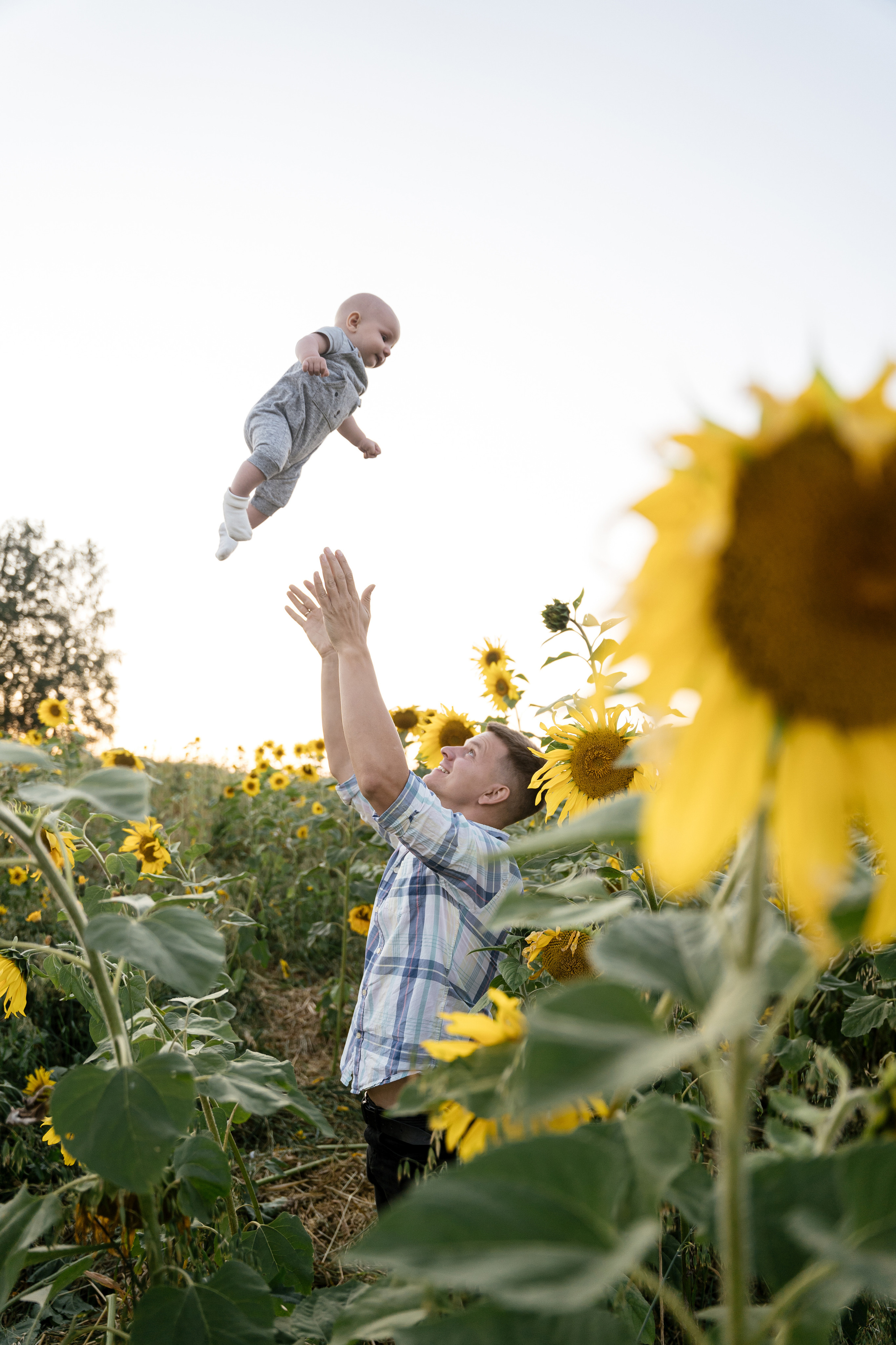 Поле, на котором детей больше, чем подсолнухов. Фотограф Томск, Новосибирск Влад Свириденко