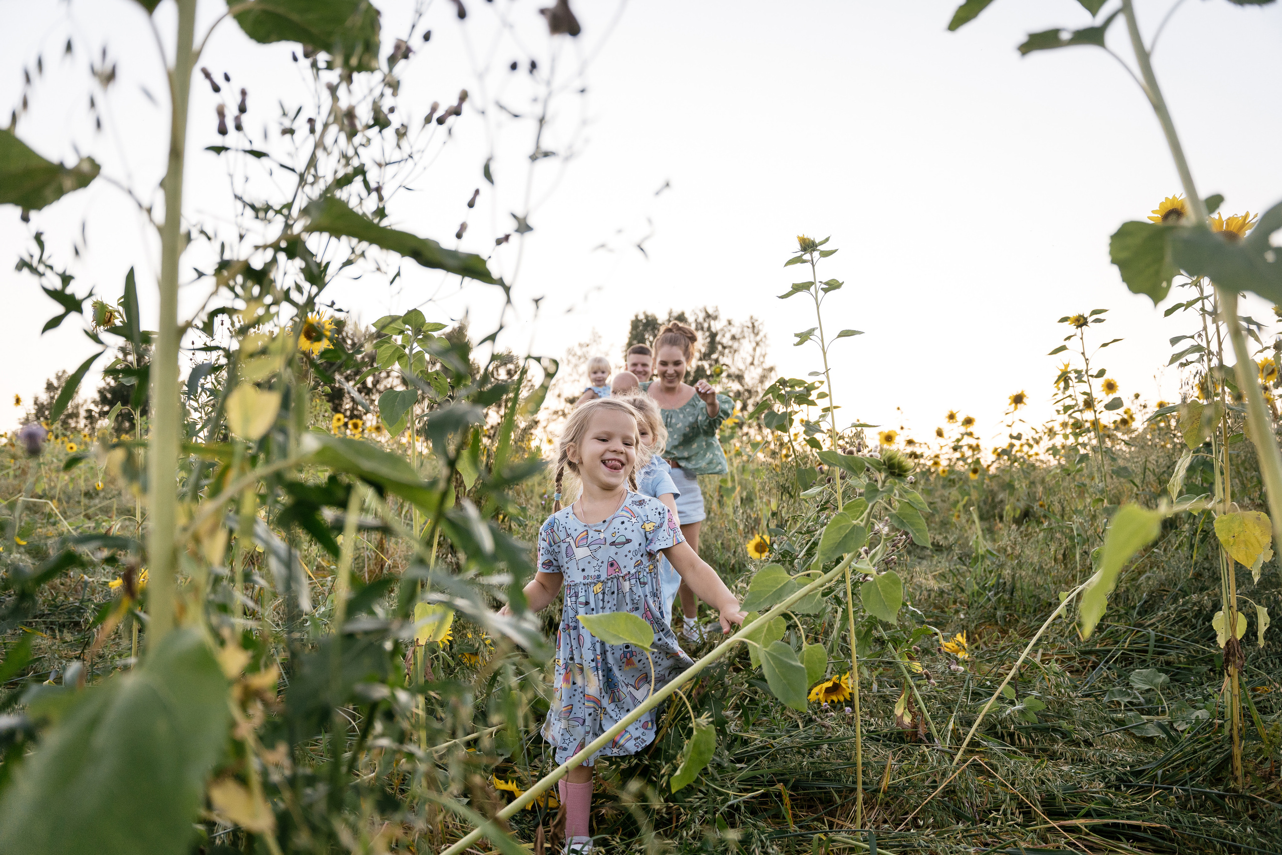 Поле, на котором детей больше, чем подсолнухов. Фотограф Томск, Новосибирск Влад Свириденко