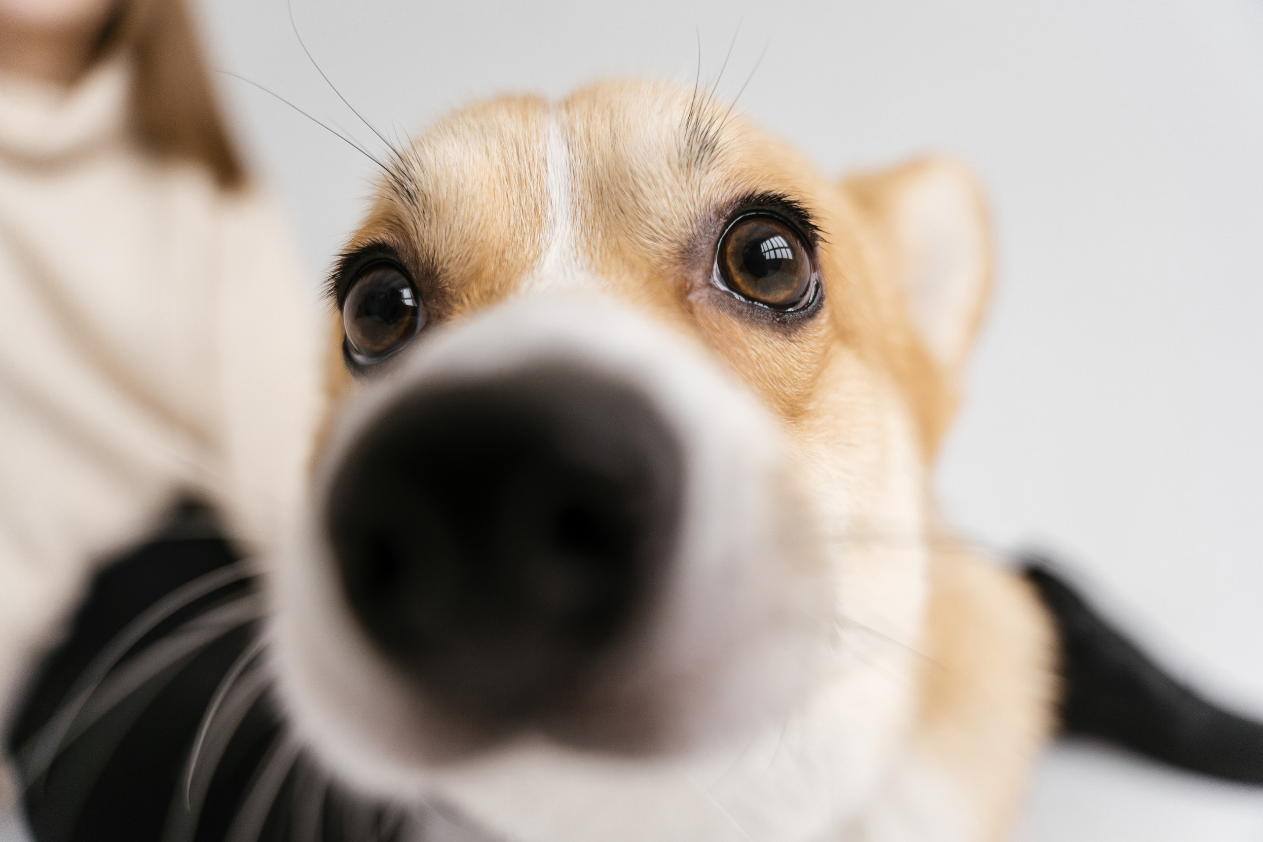 31.10.2021 Family. Фотограф Томск, Новосибирск Влад Свириденко